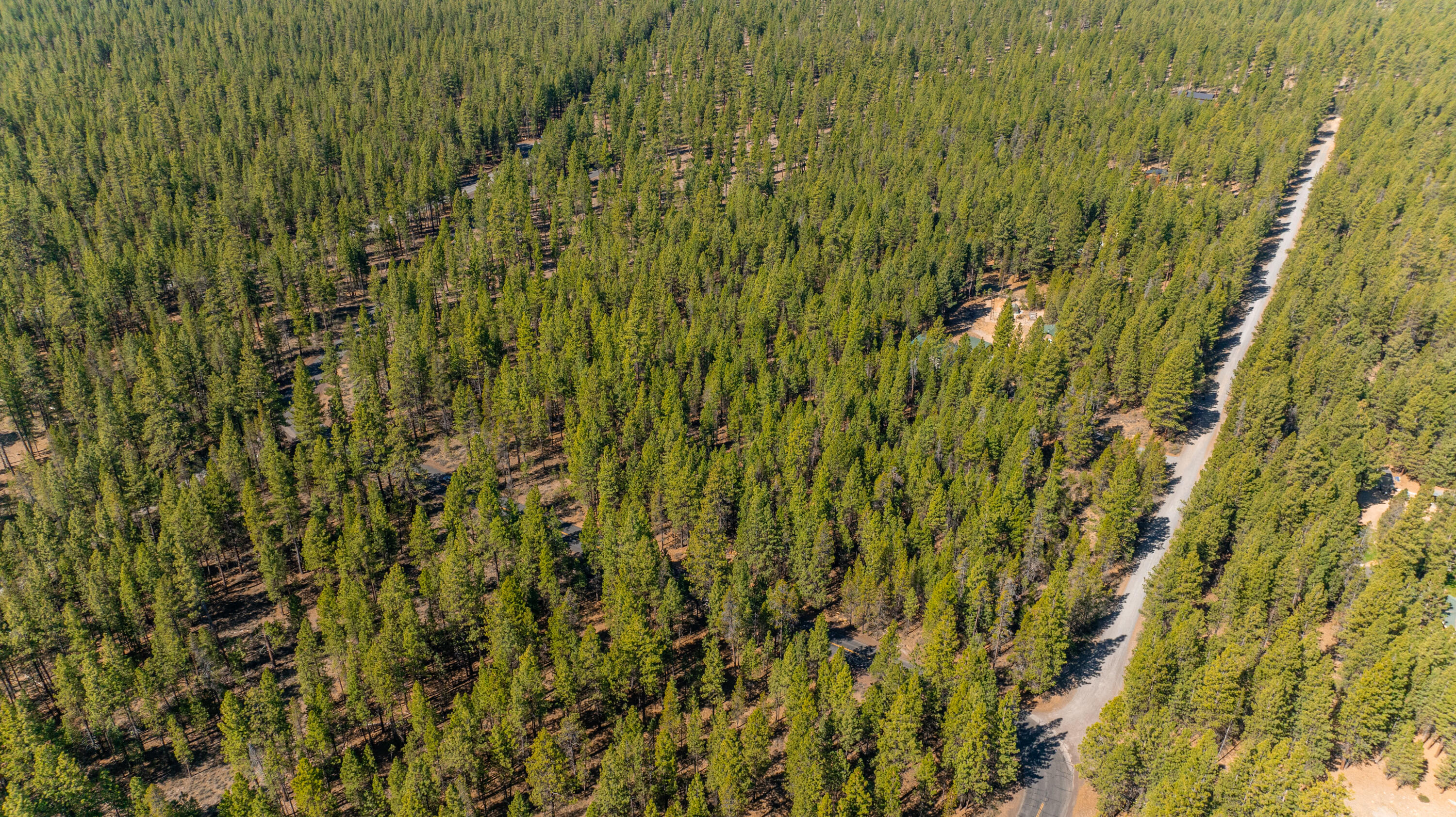 16545 Stage Stop Drive