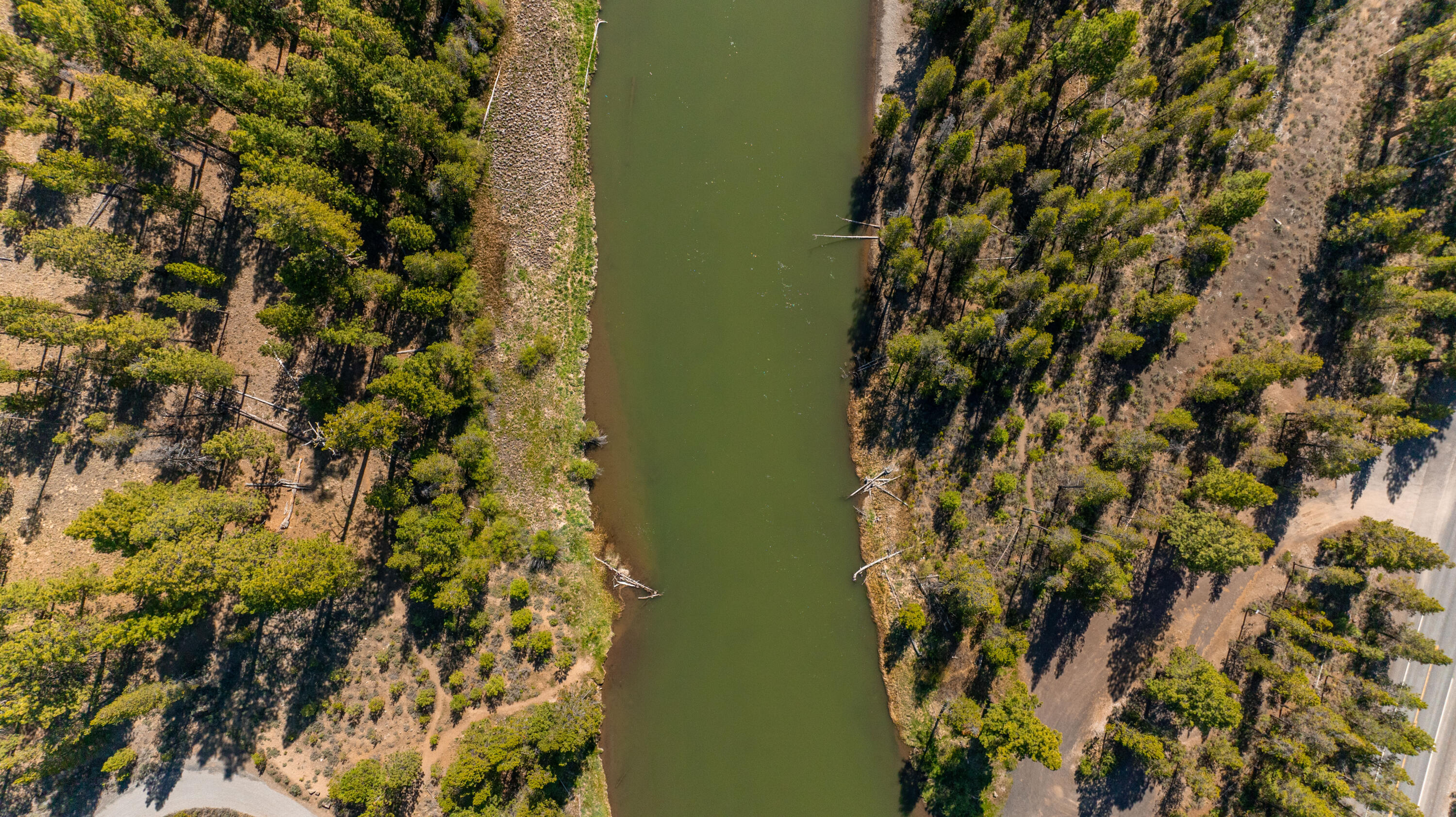 16545 Stage Stop Drive