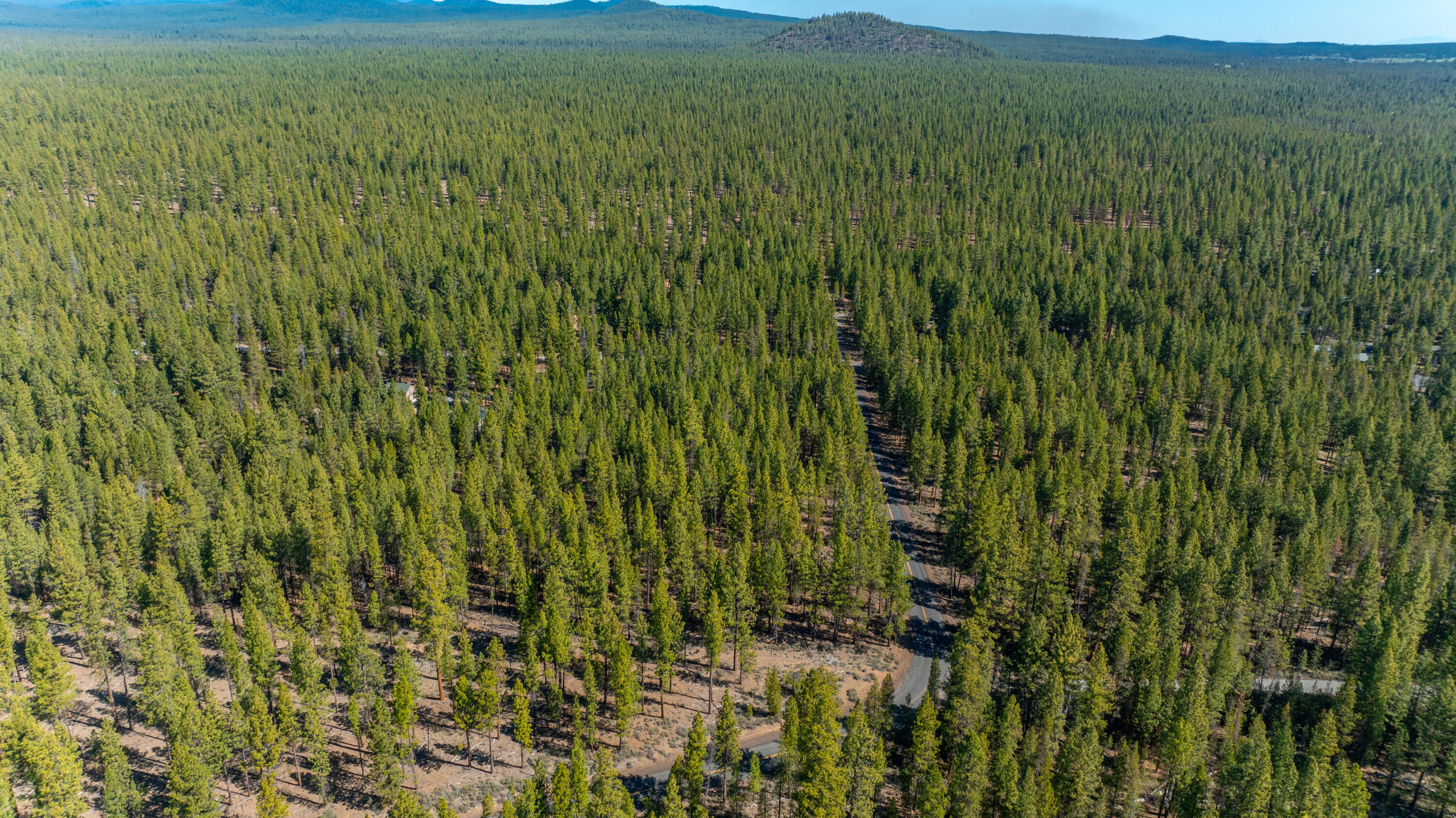 16545 Stage Stop Drive