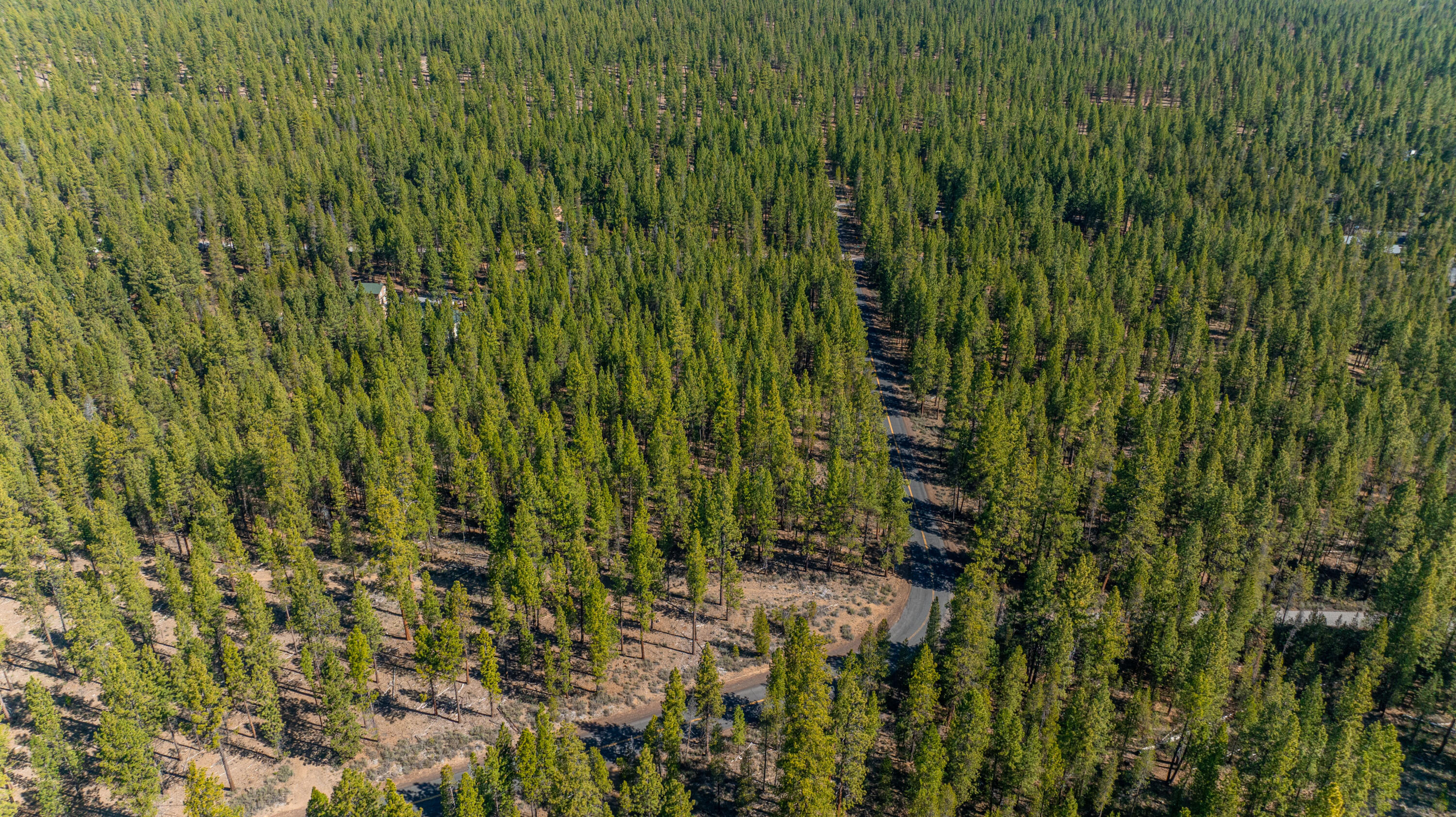 16545 Stage Stop Drive