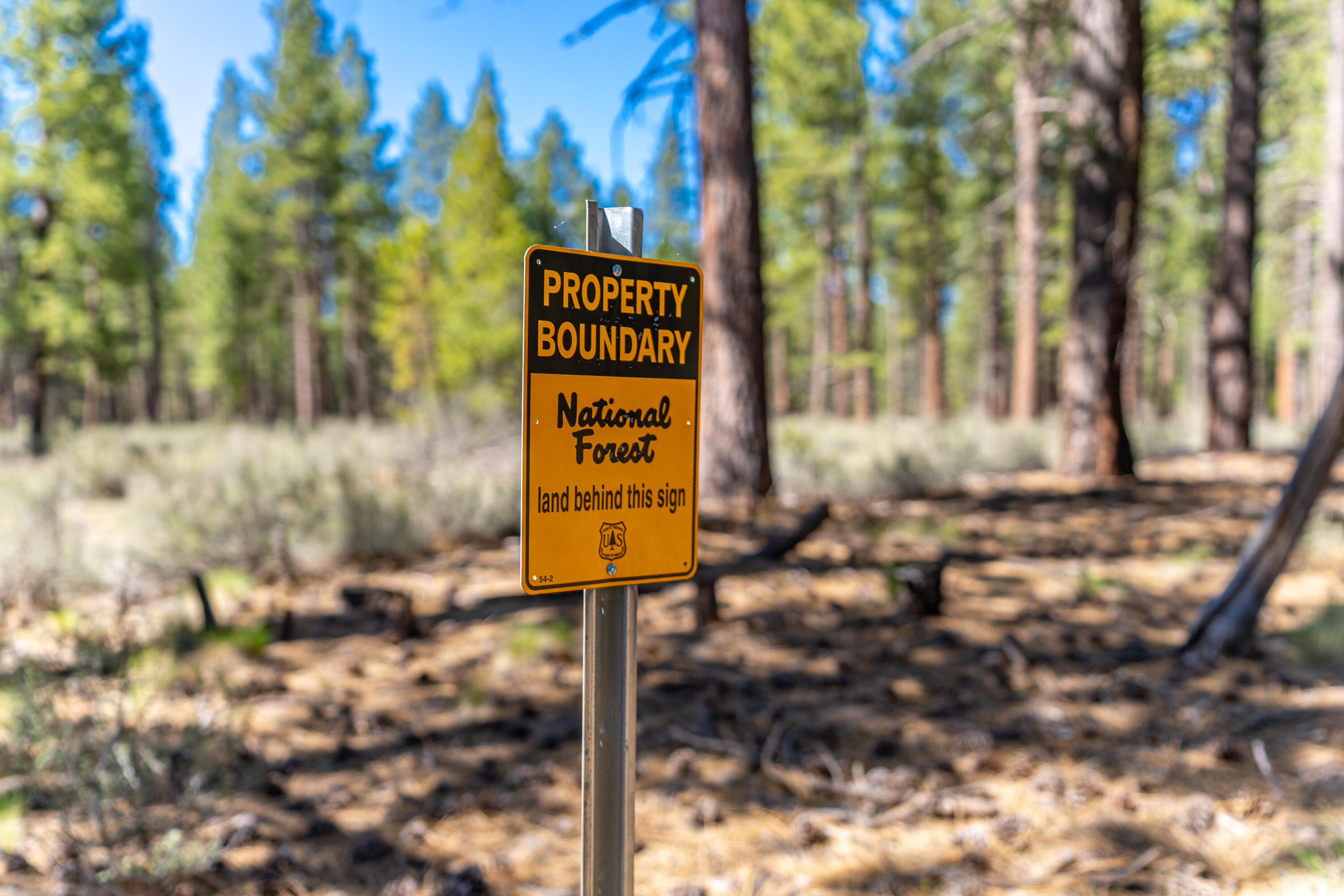 16545 Stage Stop Drive