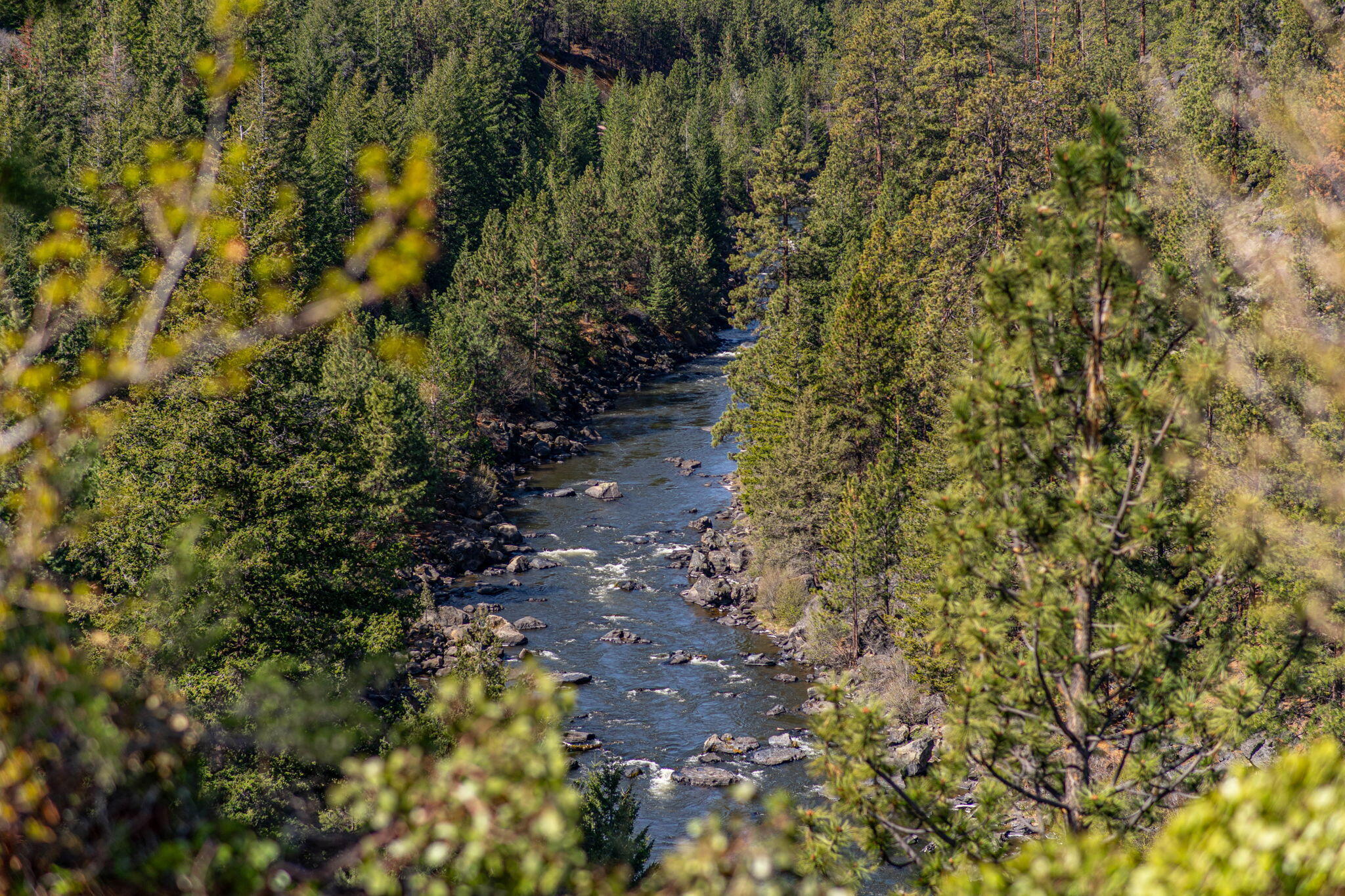 61279 Gorge View Street