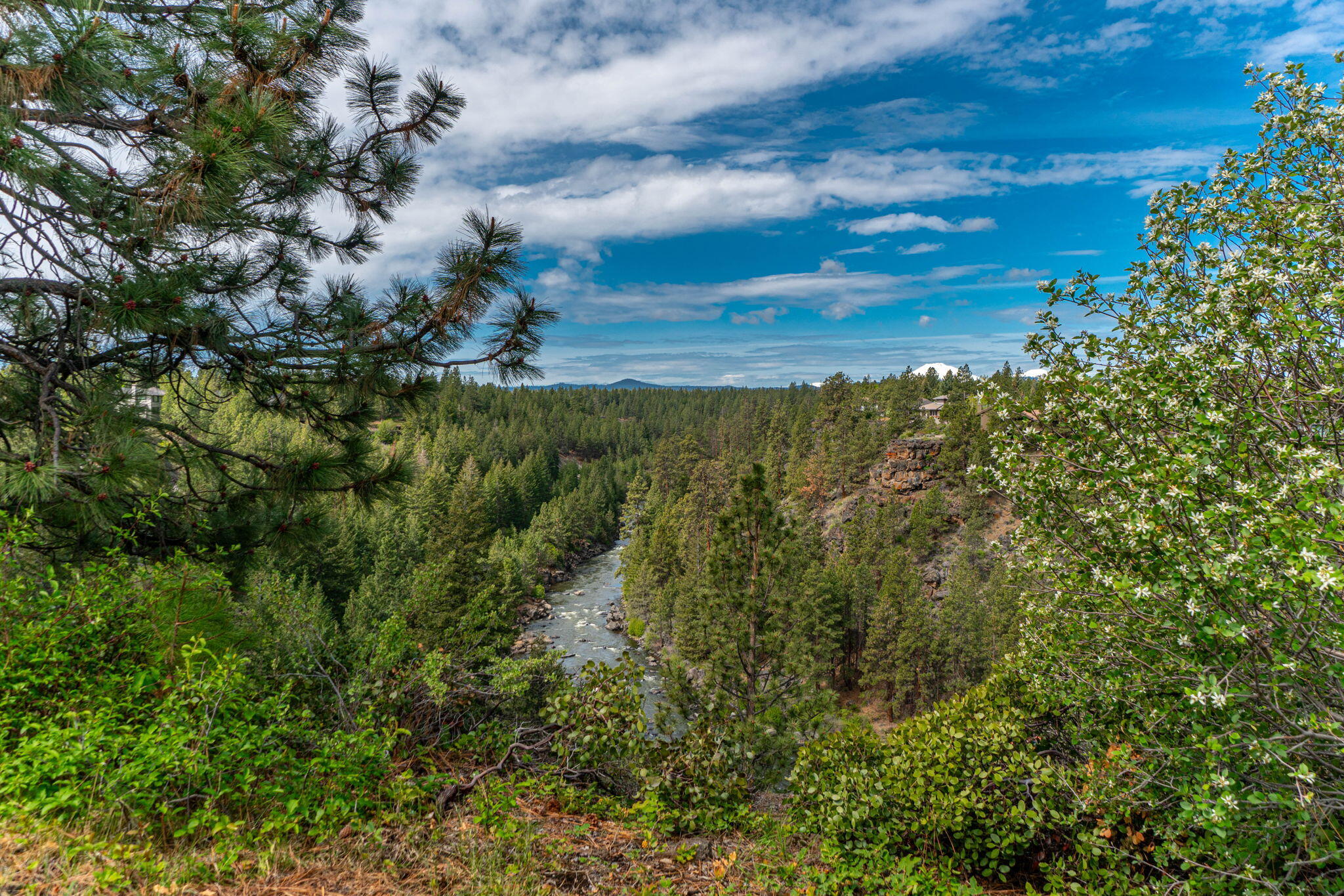 61279 Gorge View Street