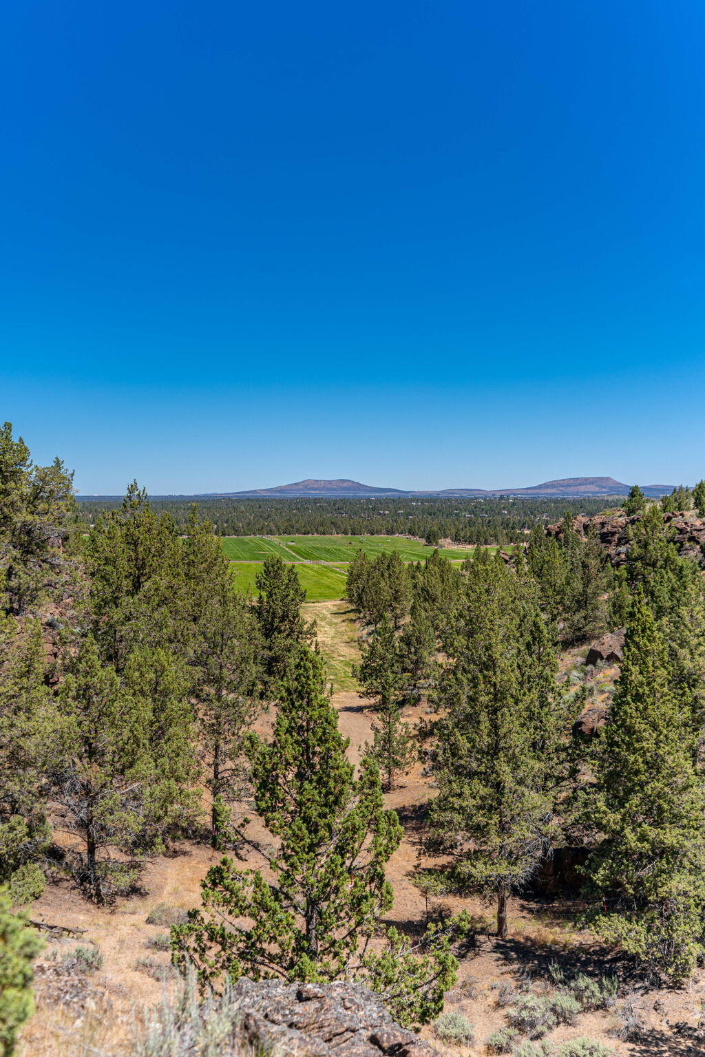 6625 NW Poplar Drive