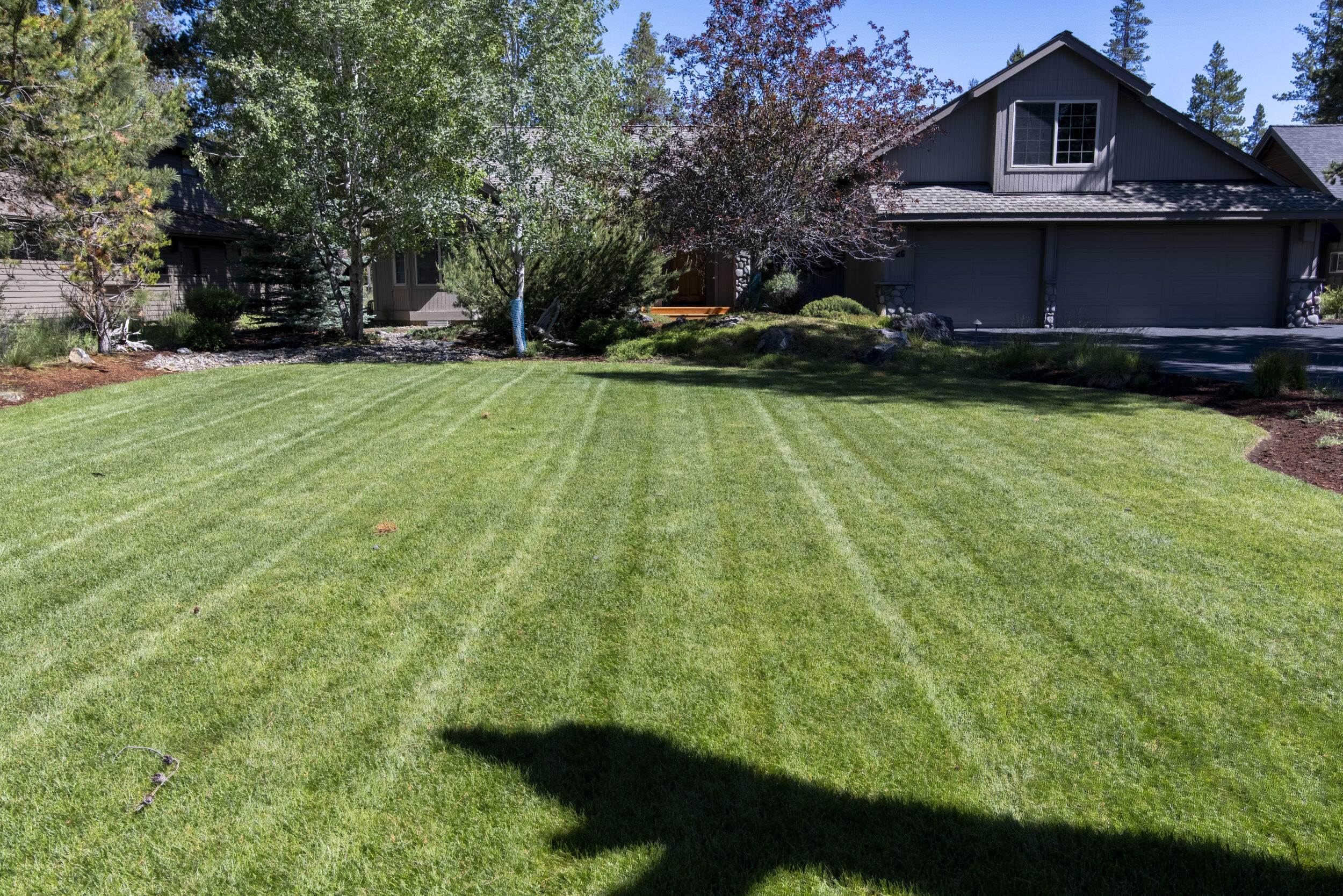 18122 Maury Mountain Lane