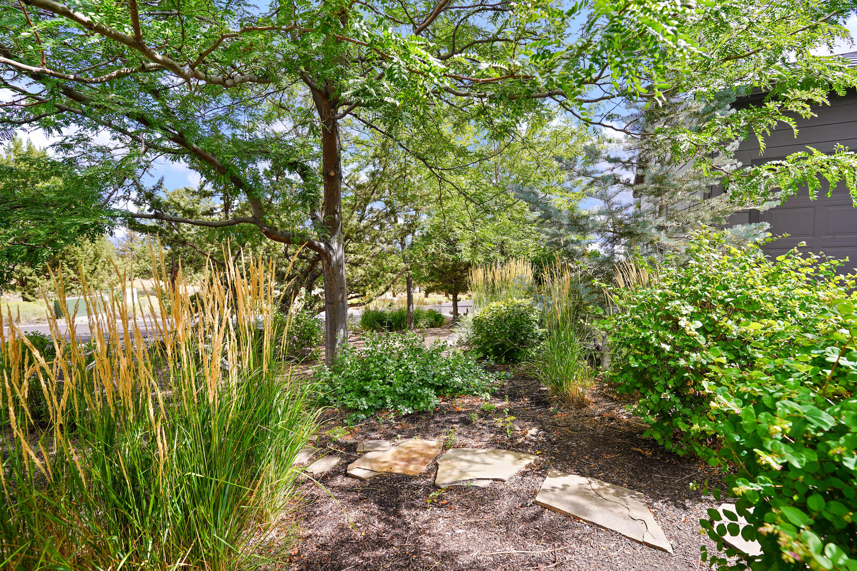 202 Presidio Park Lane