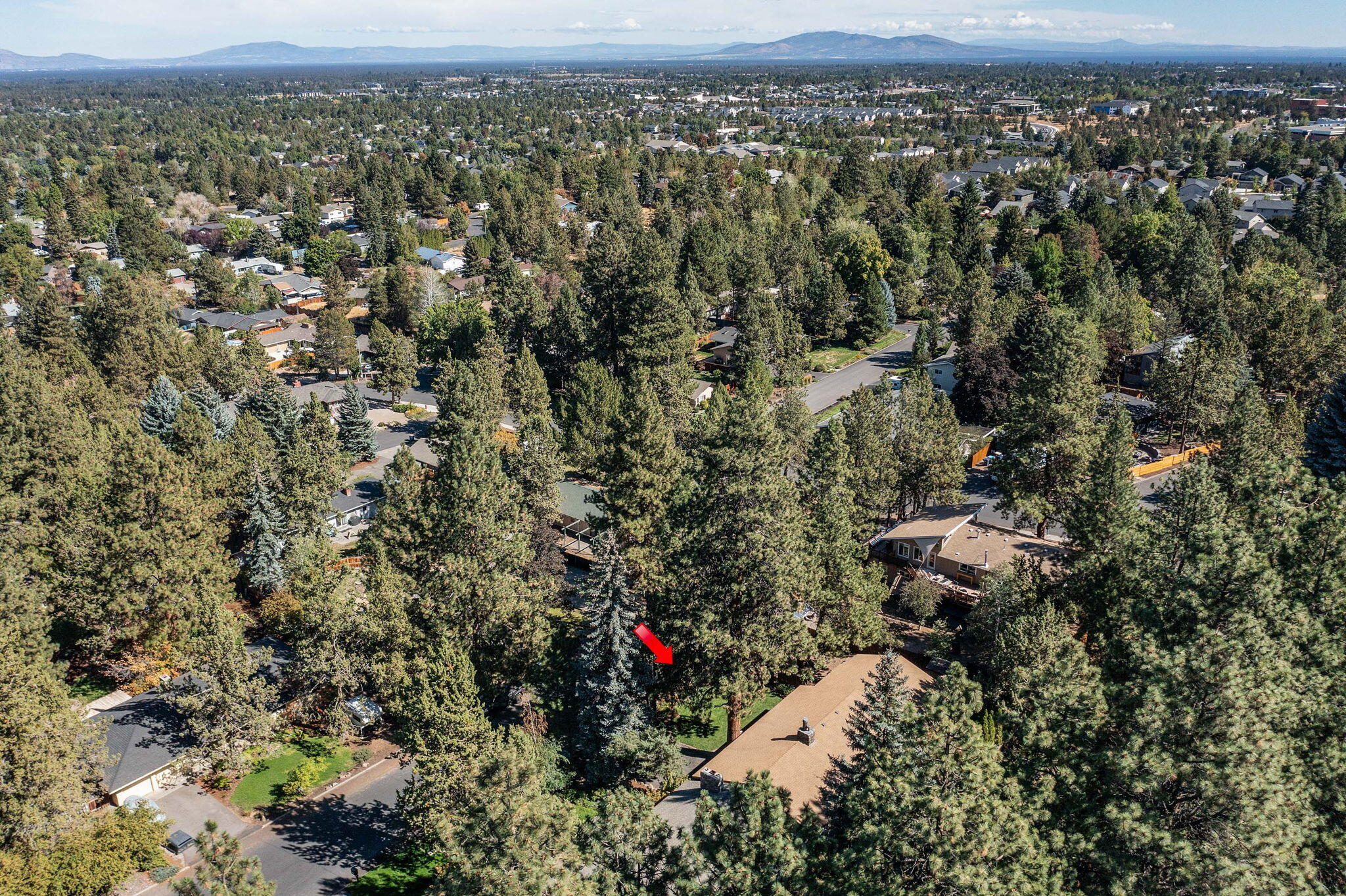 1509 NE Revere Avenue