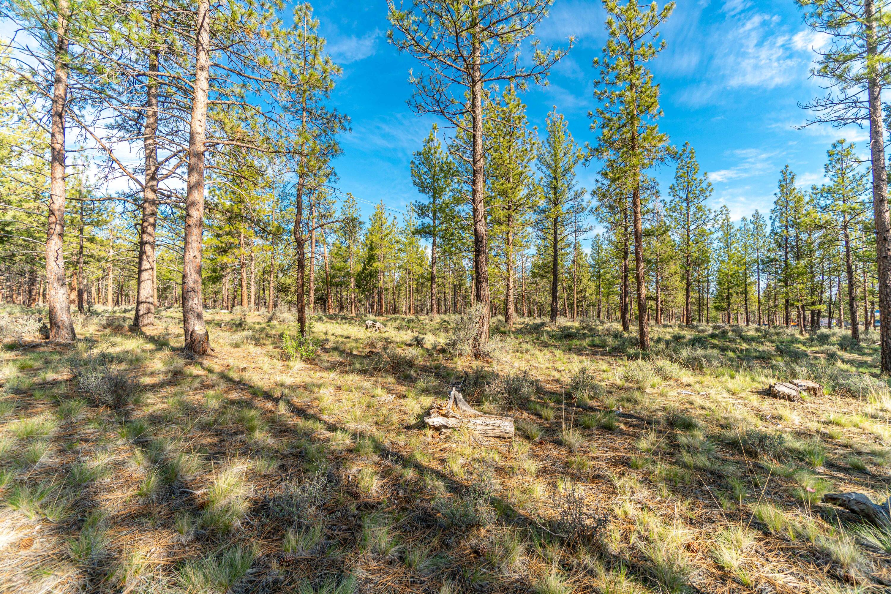 Lot 19, Skyline Ranch, Phase 1