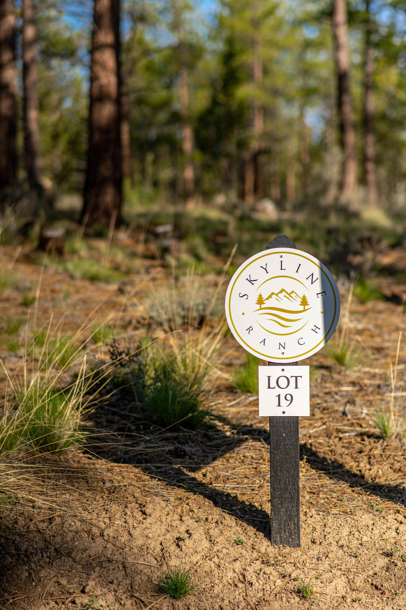 Lot 19, Skyline Ranch, Phase 1