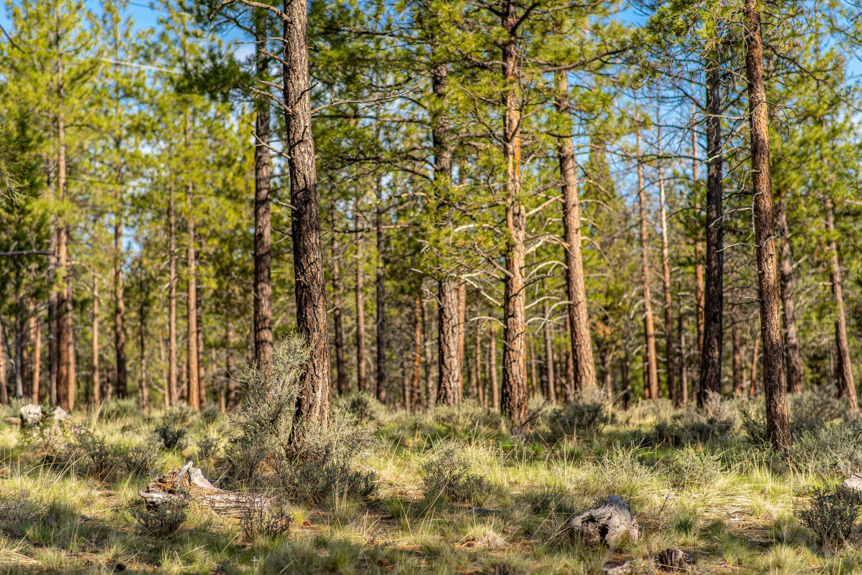 Lot 19, Skyline Ranch, Phase 1