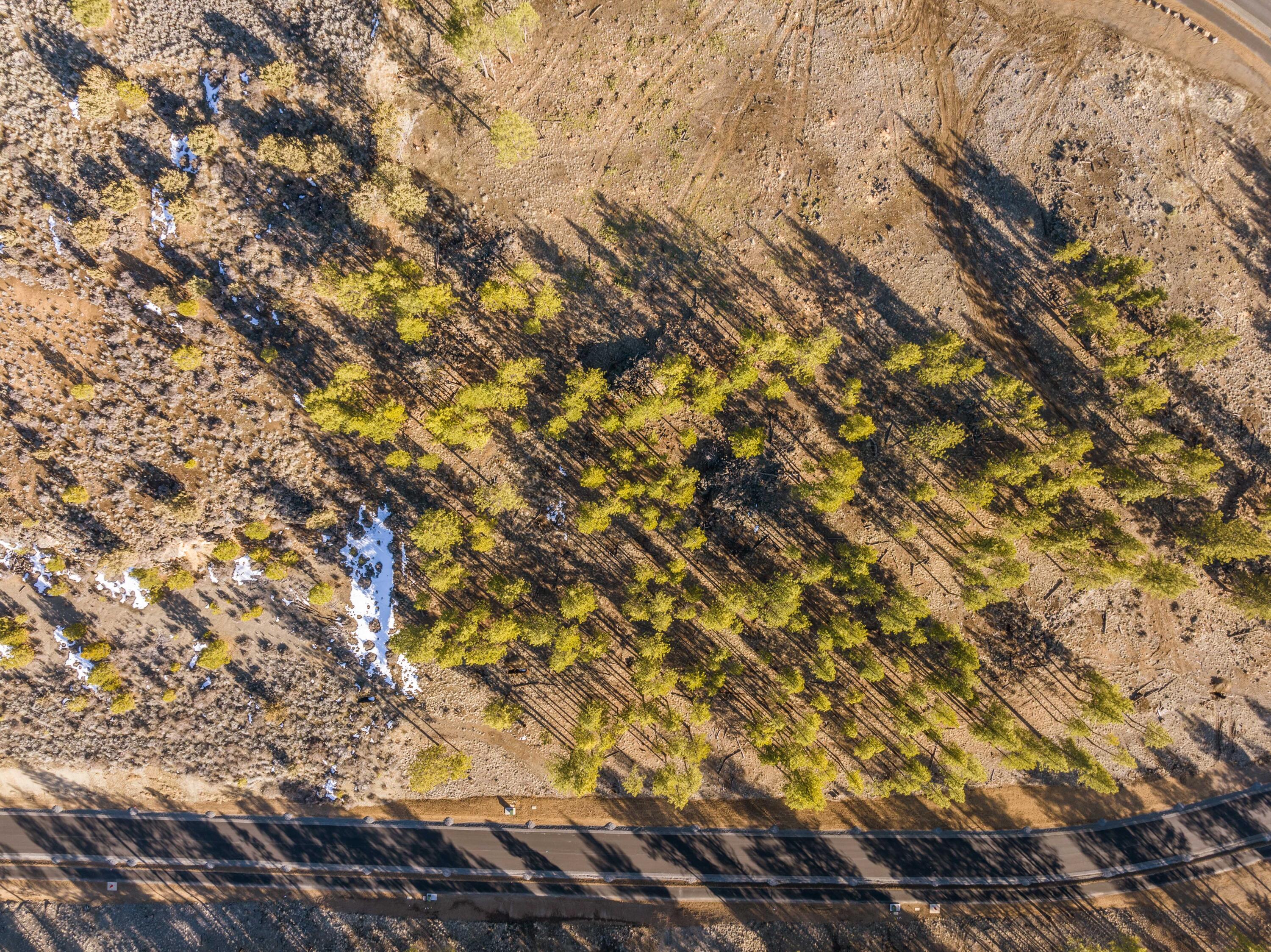 Ostrom Drive, Lot 46