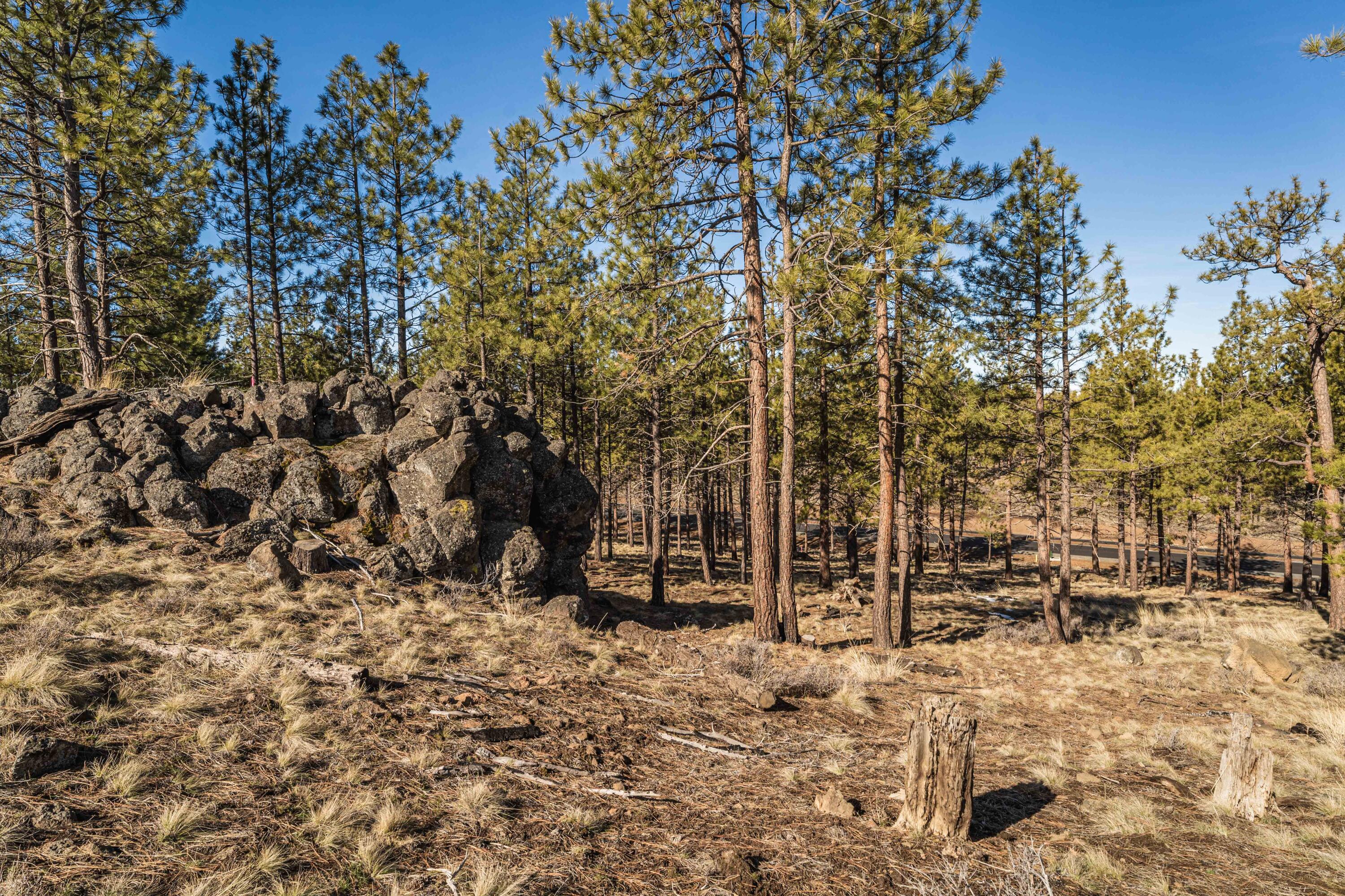 Ostrom Drive, Lot 46