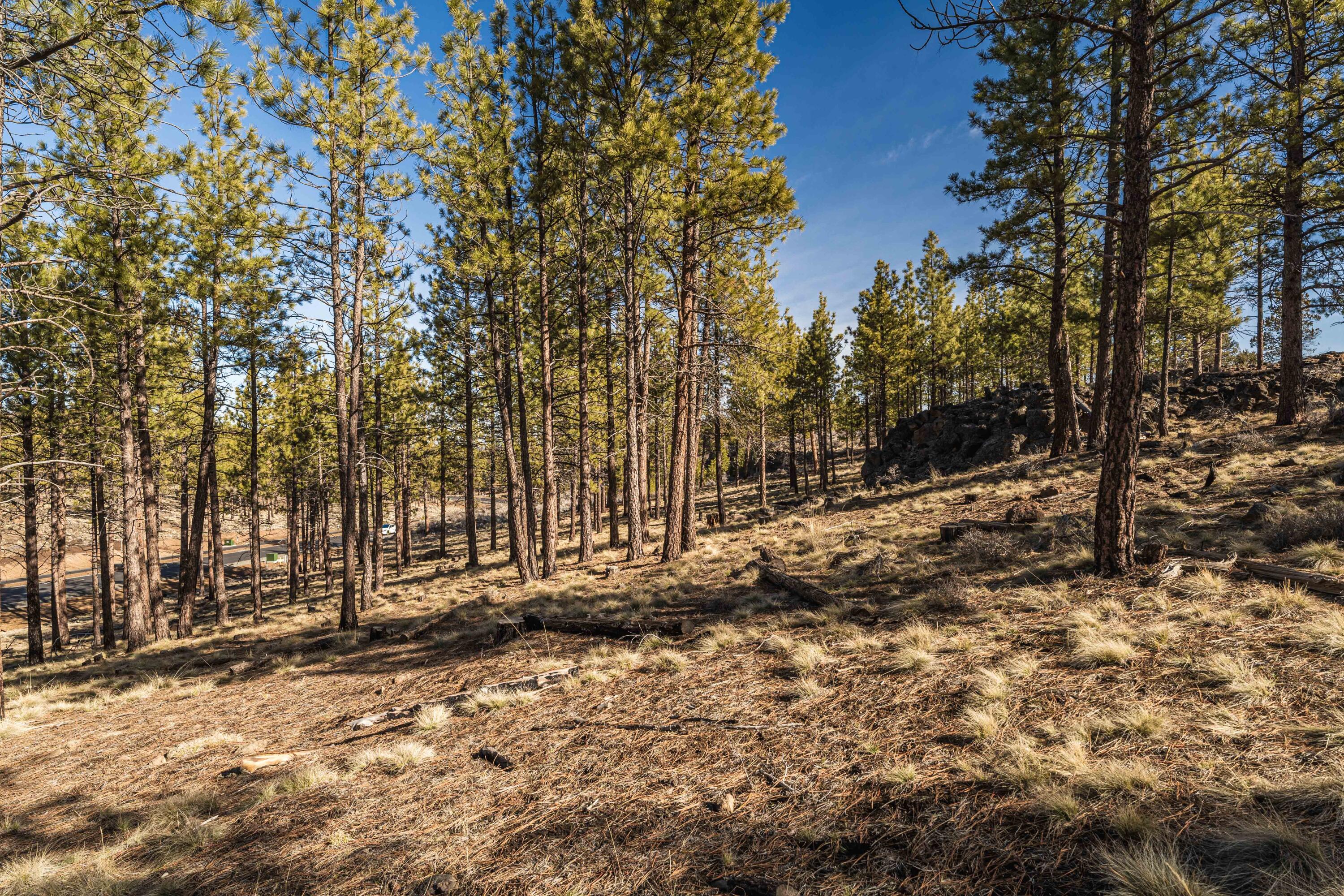 Ostrom Drive, Lot 46