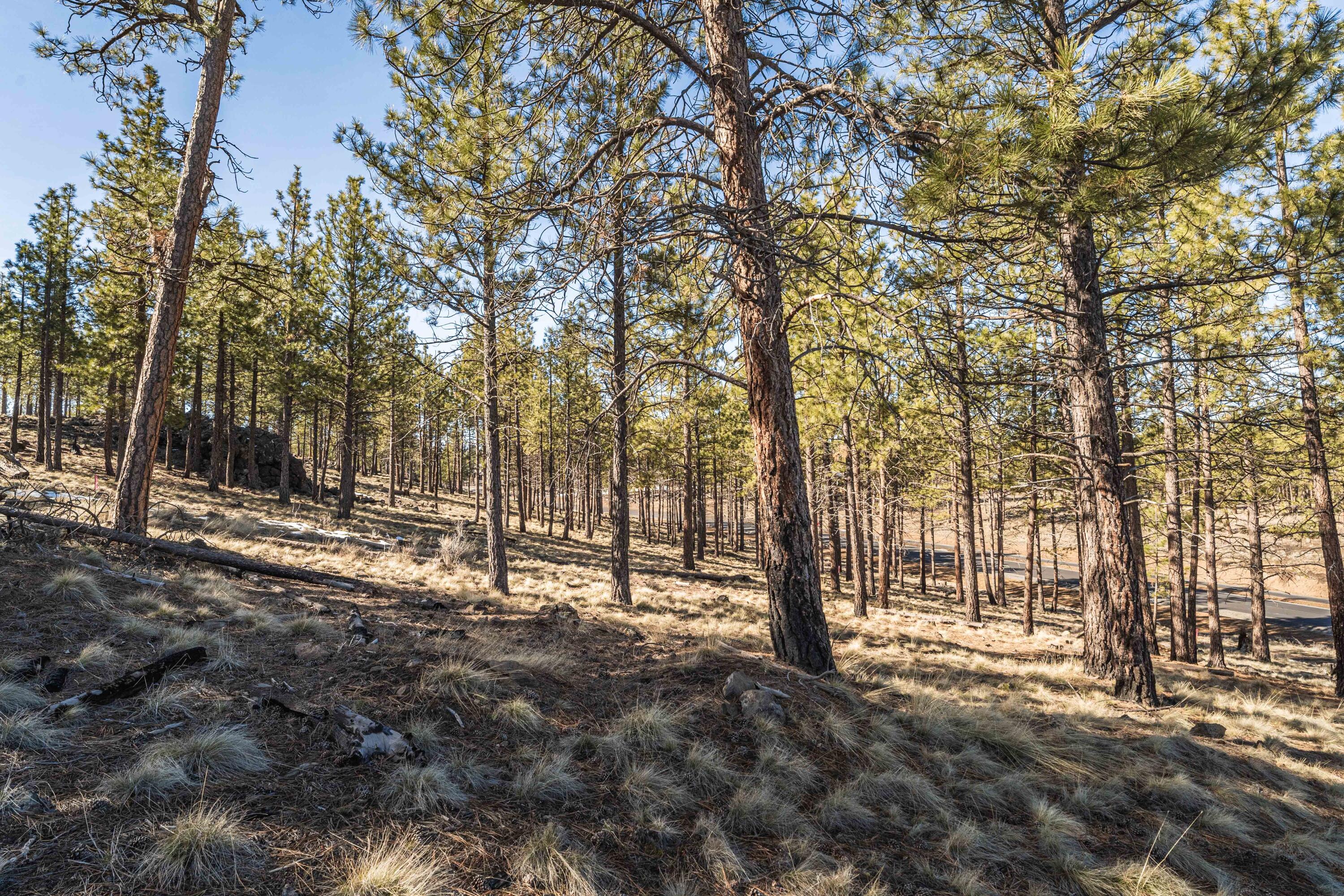 Ostrom Drive, Lot 46