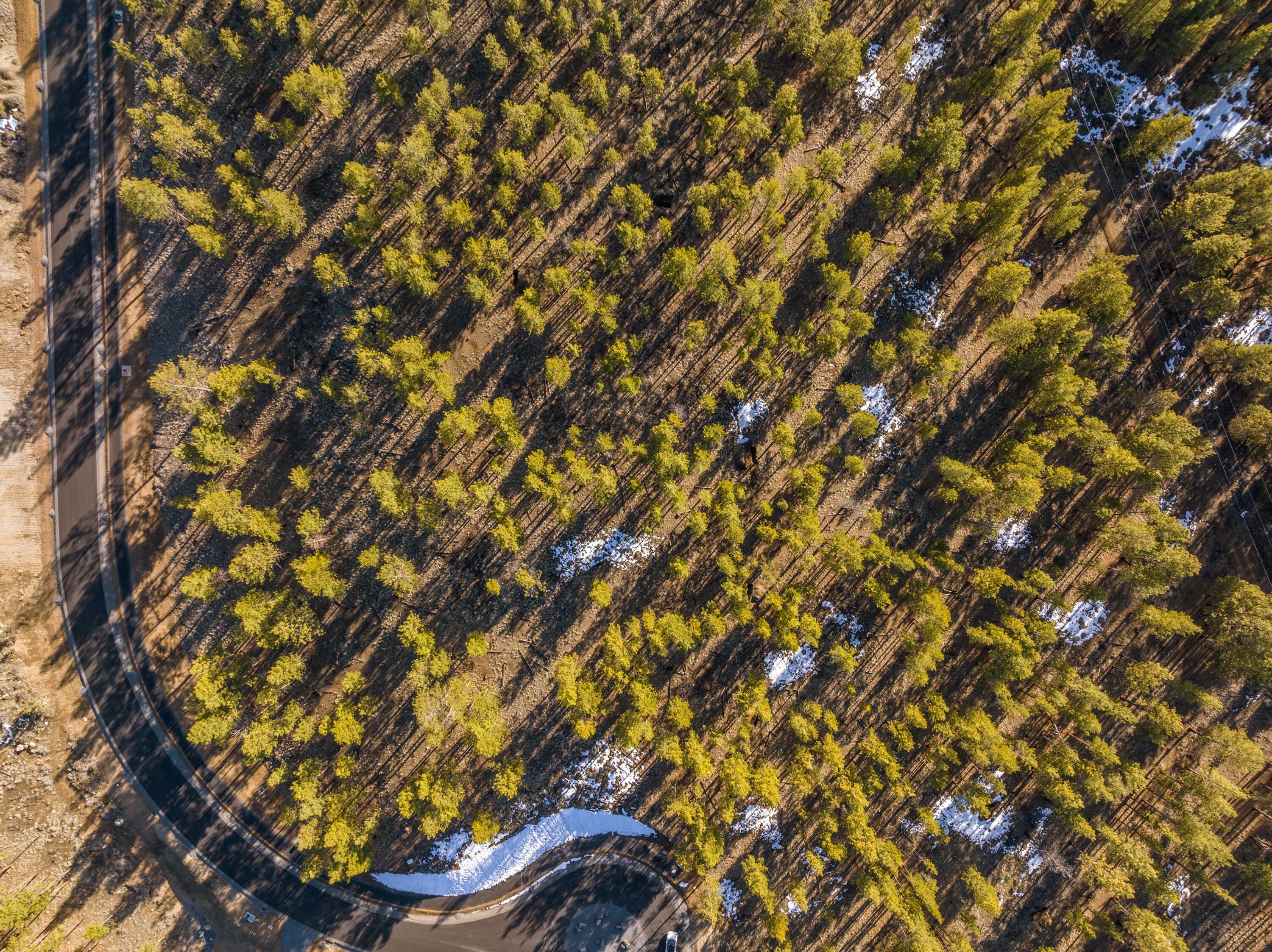 Ostrom Drive, Lot 23