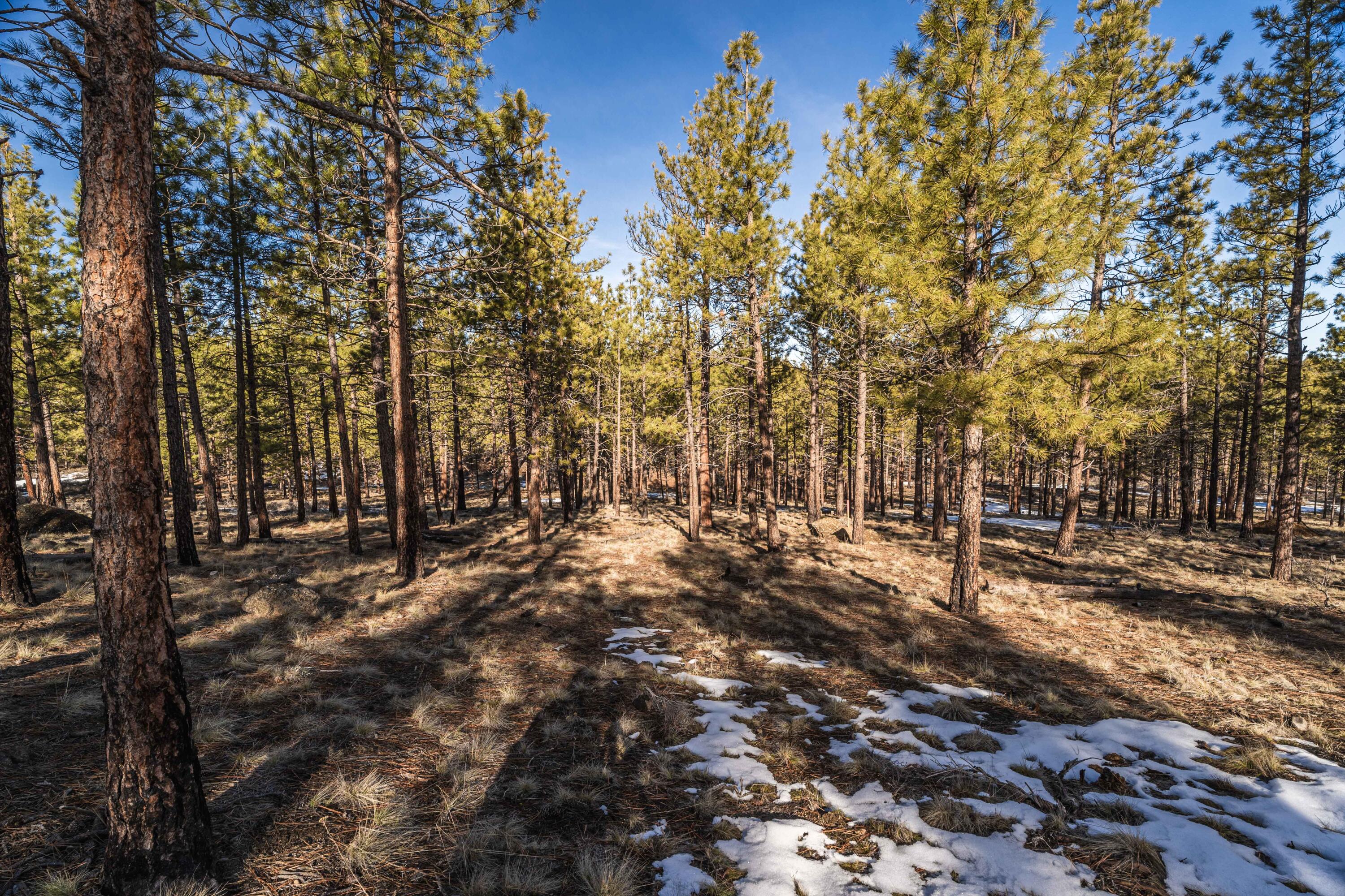 Ostrom Drive, Lot 23