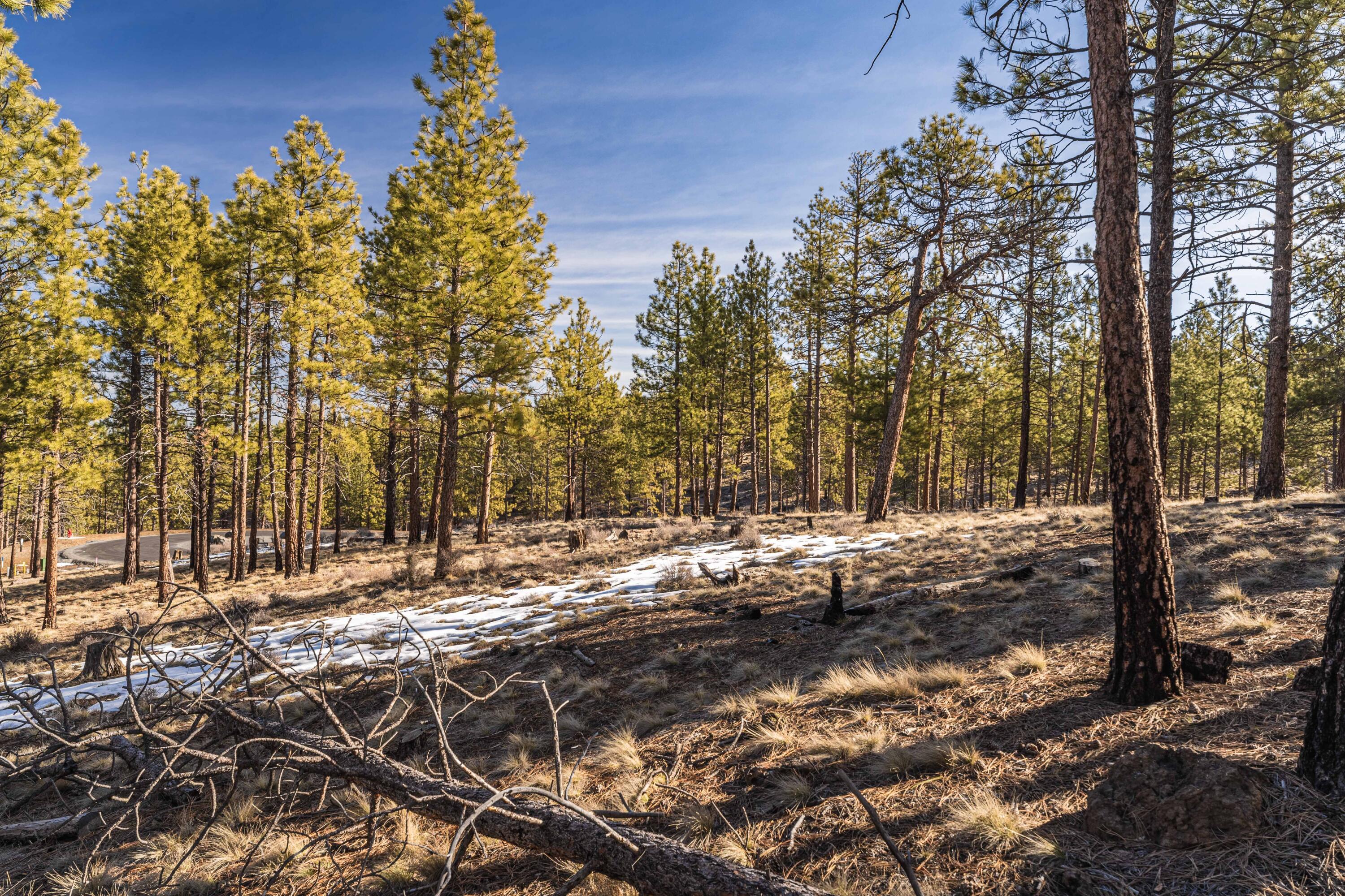 Ostrom Drive, Lot 23