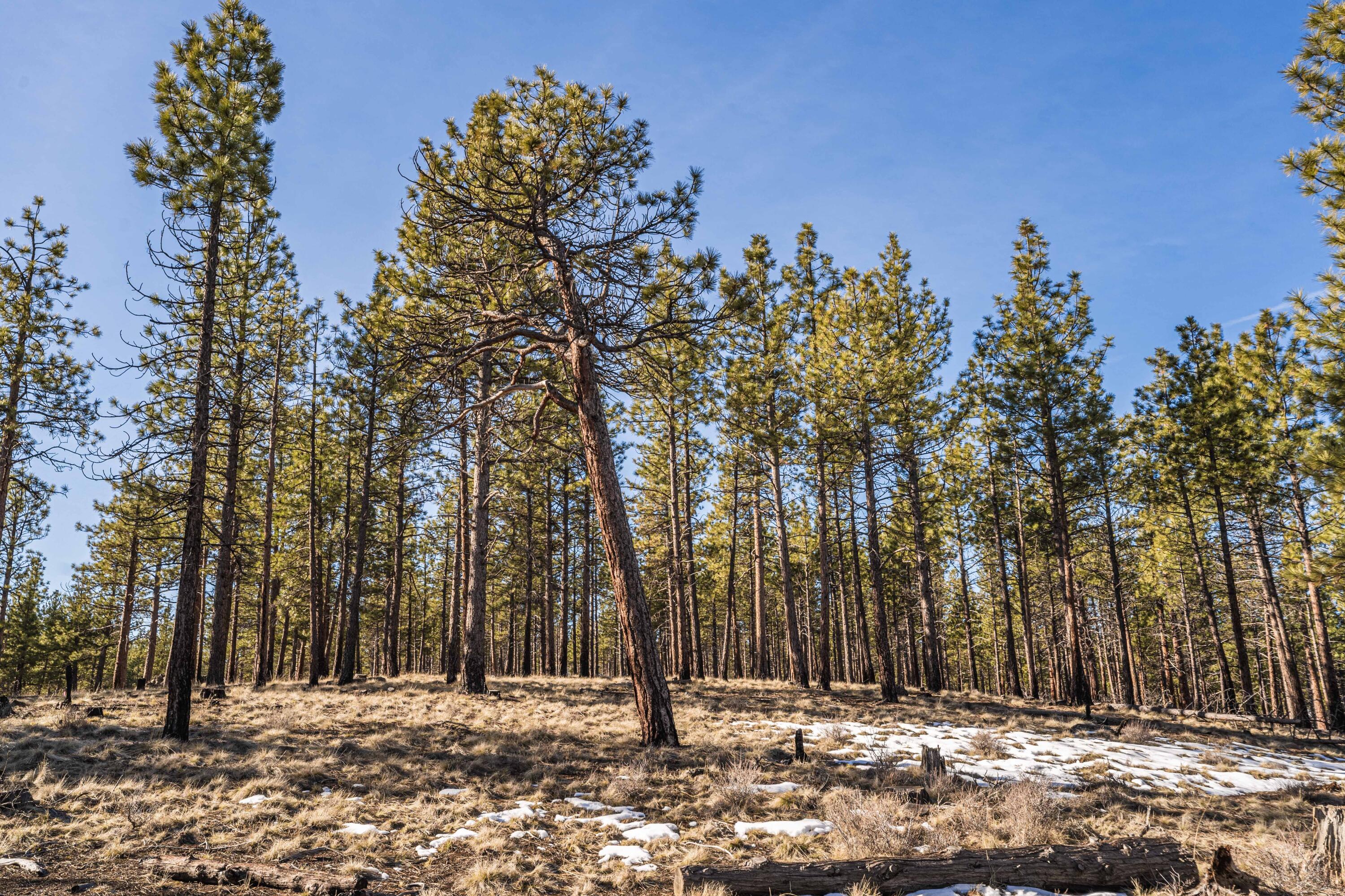 Ostrom Drive, Lot 23