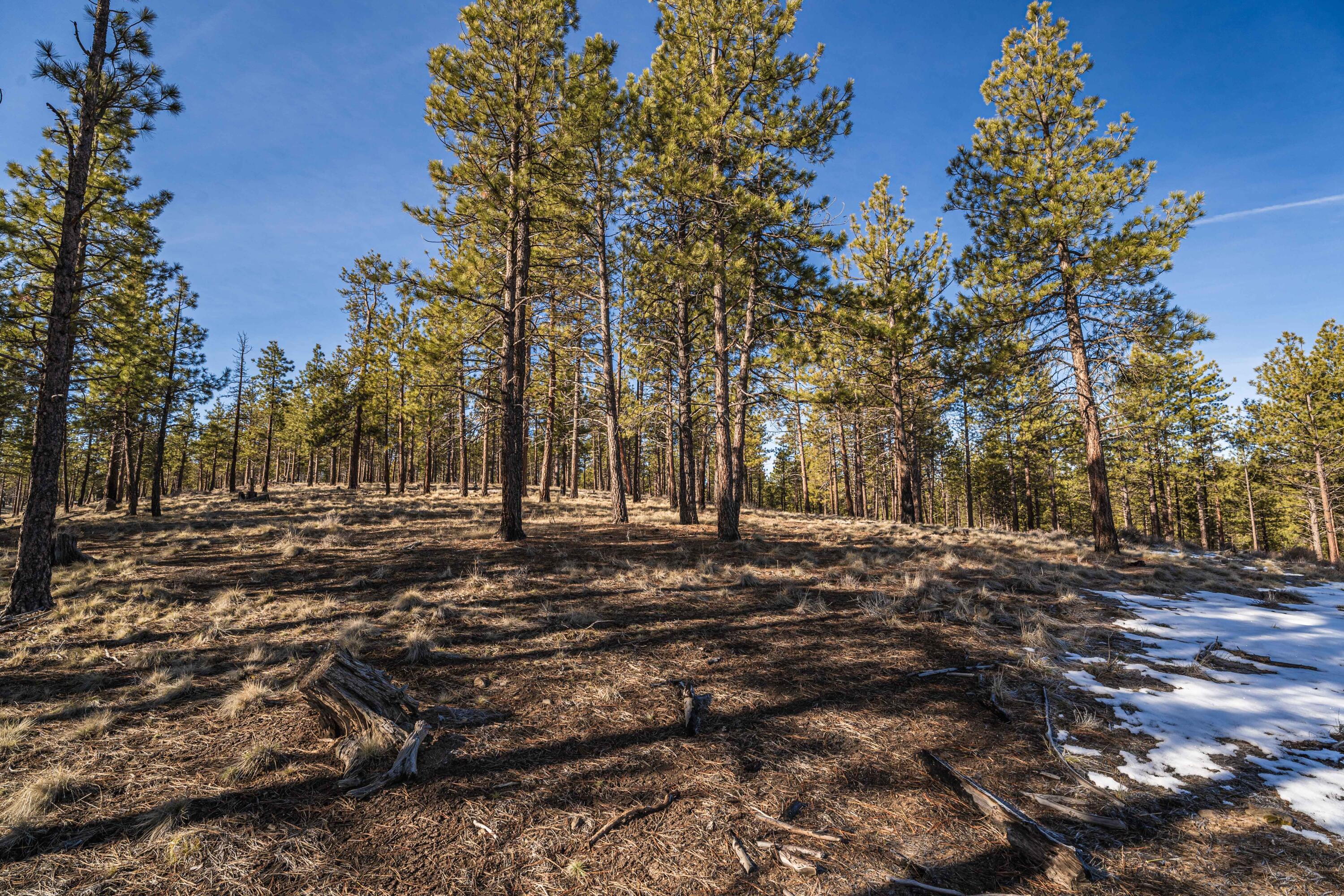 Ostrom Drive, Lot 23