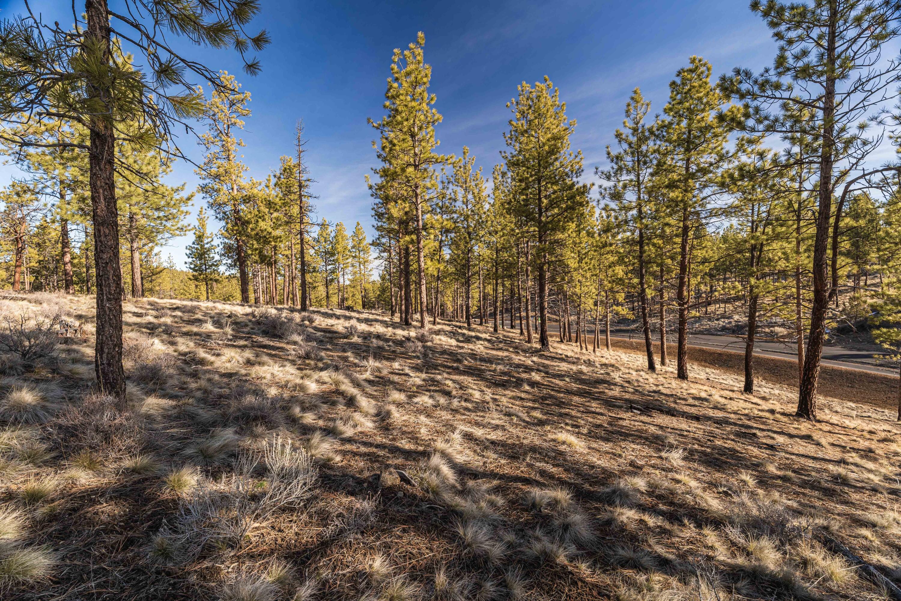 Ostrom Drive, Lot 23