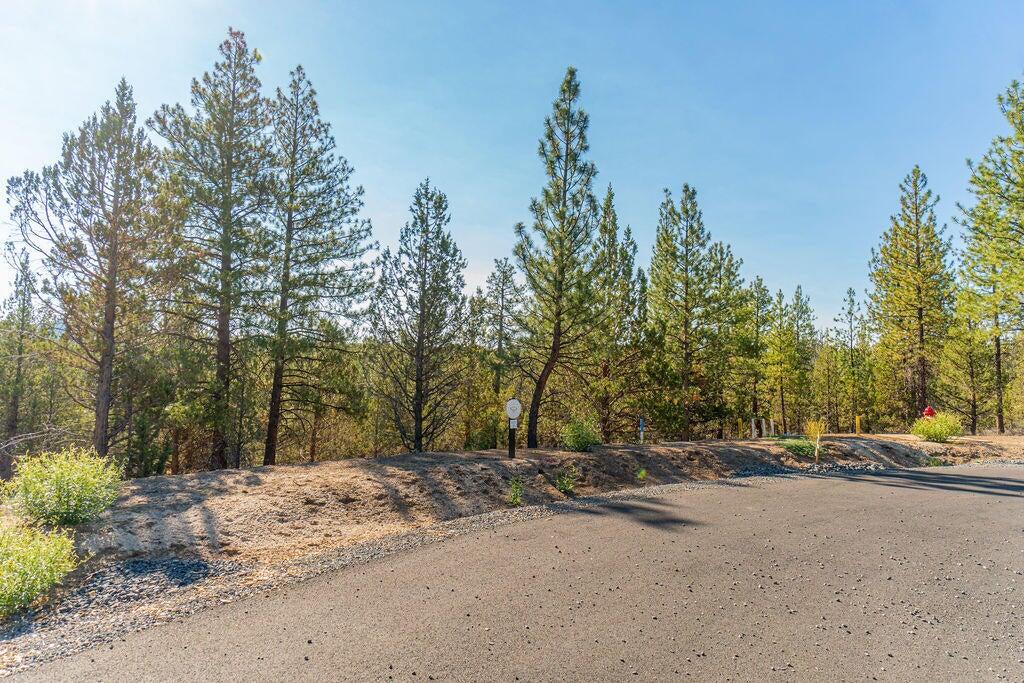 62984 Levins Lane