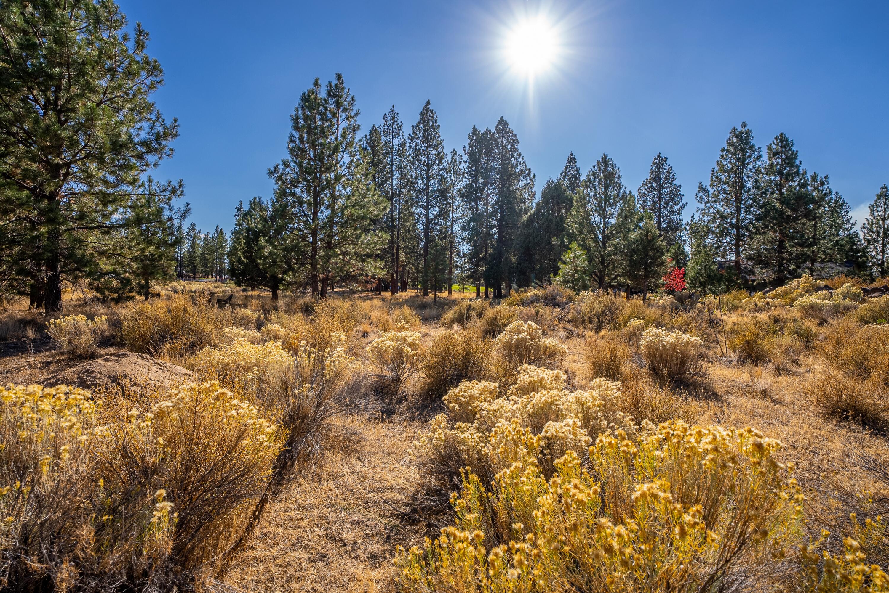 20348 Rainbow Lake Trail