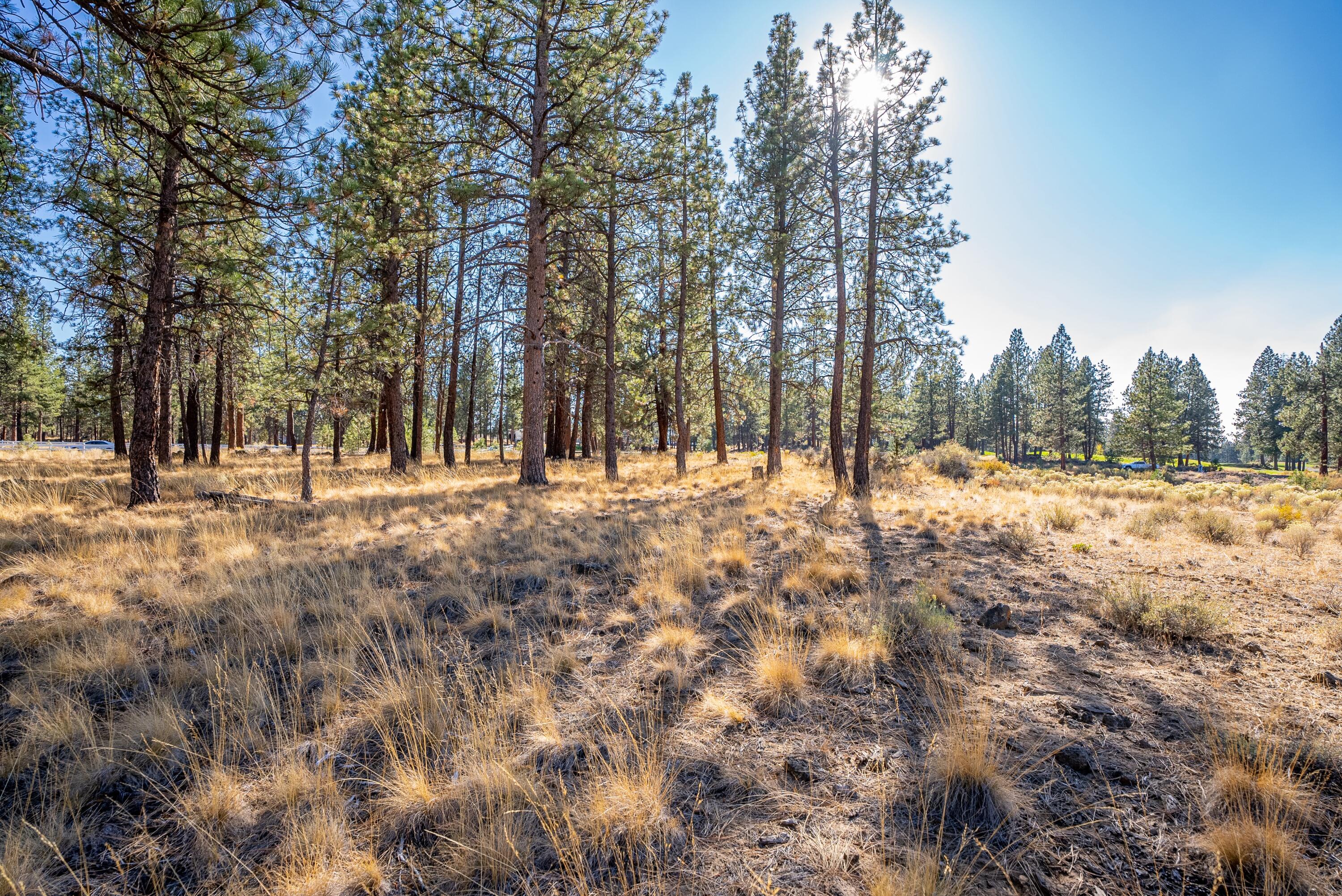 20348 Rainbow Lake Trail