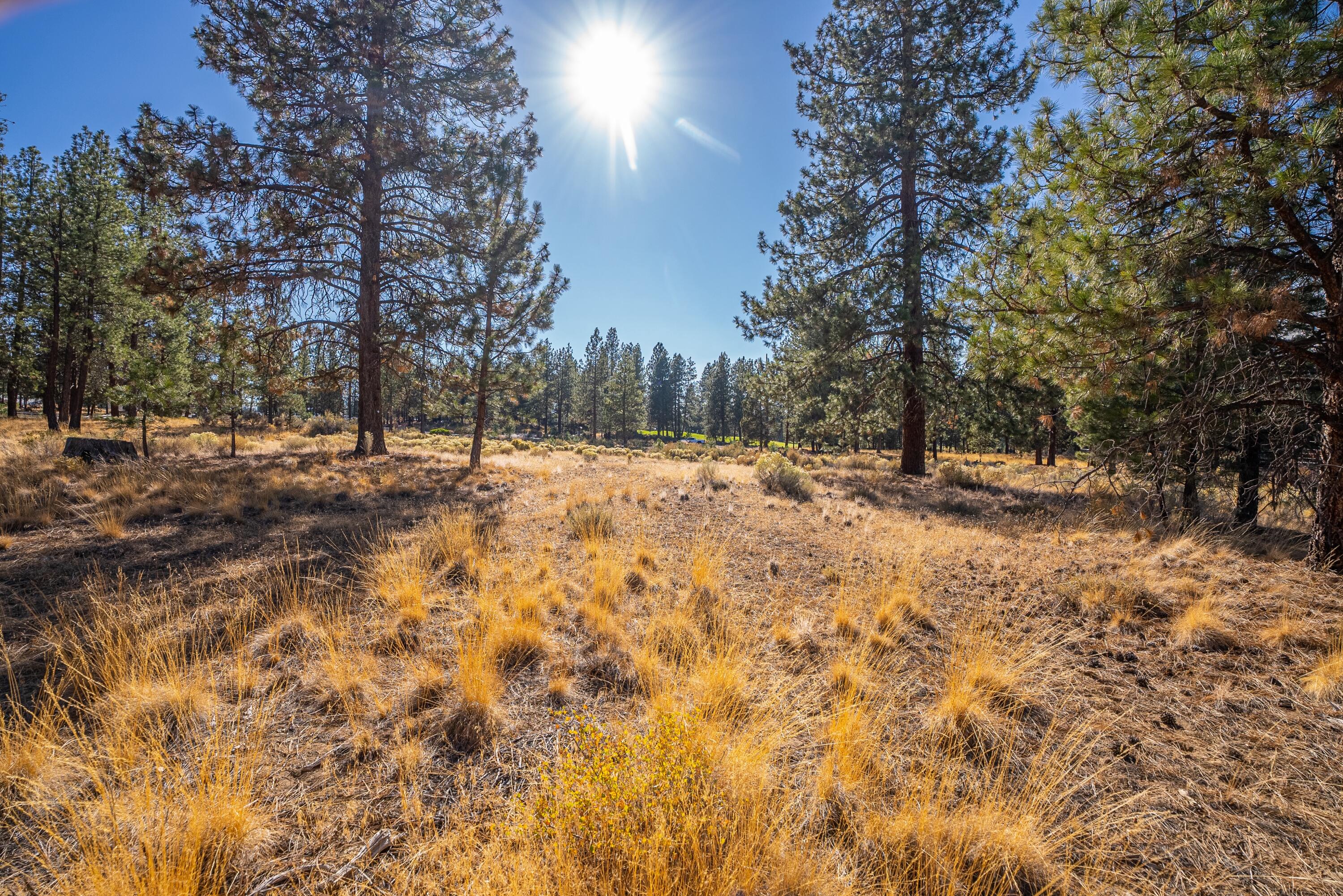 20348 Rainbow Lake Trail