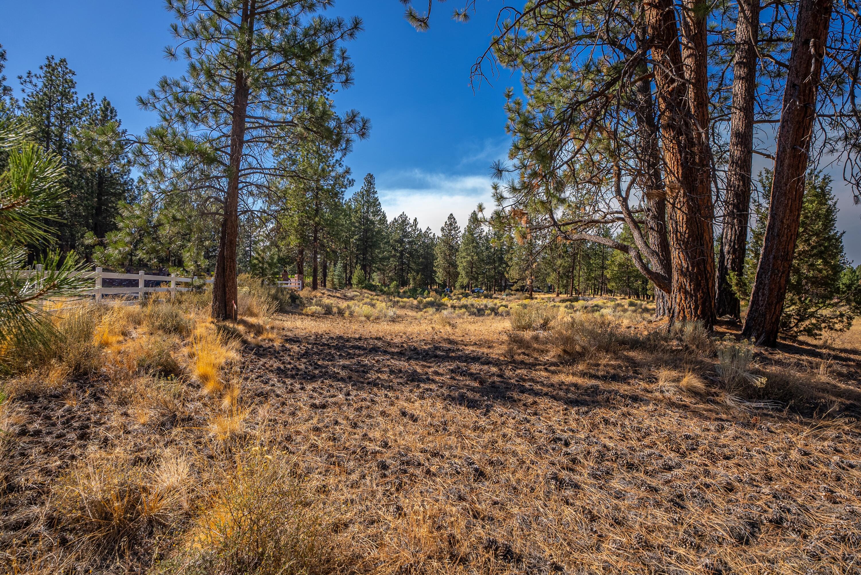 20348 Rainbow Lake Trail