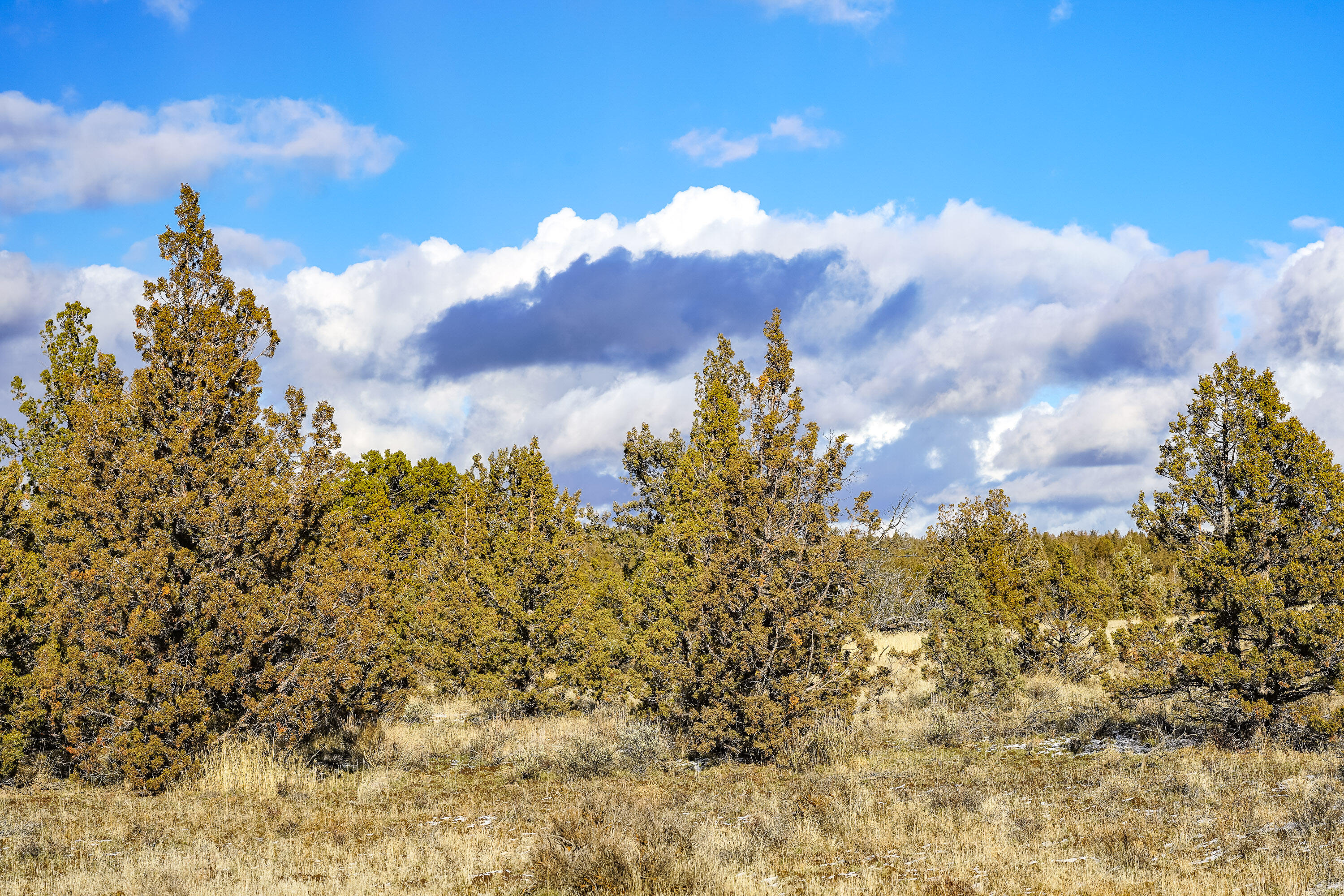 10139 SE Alamo Court