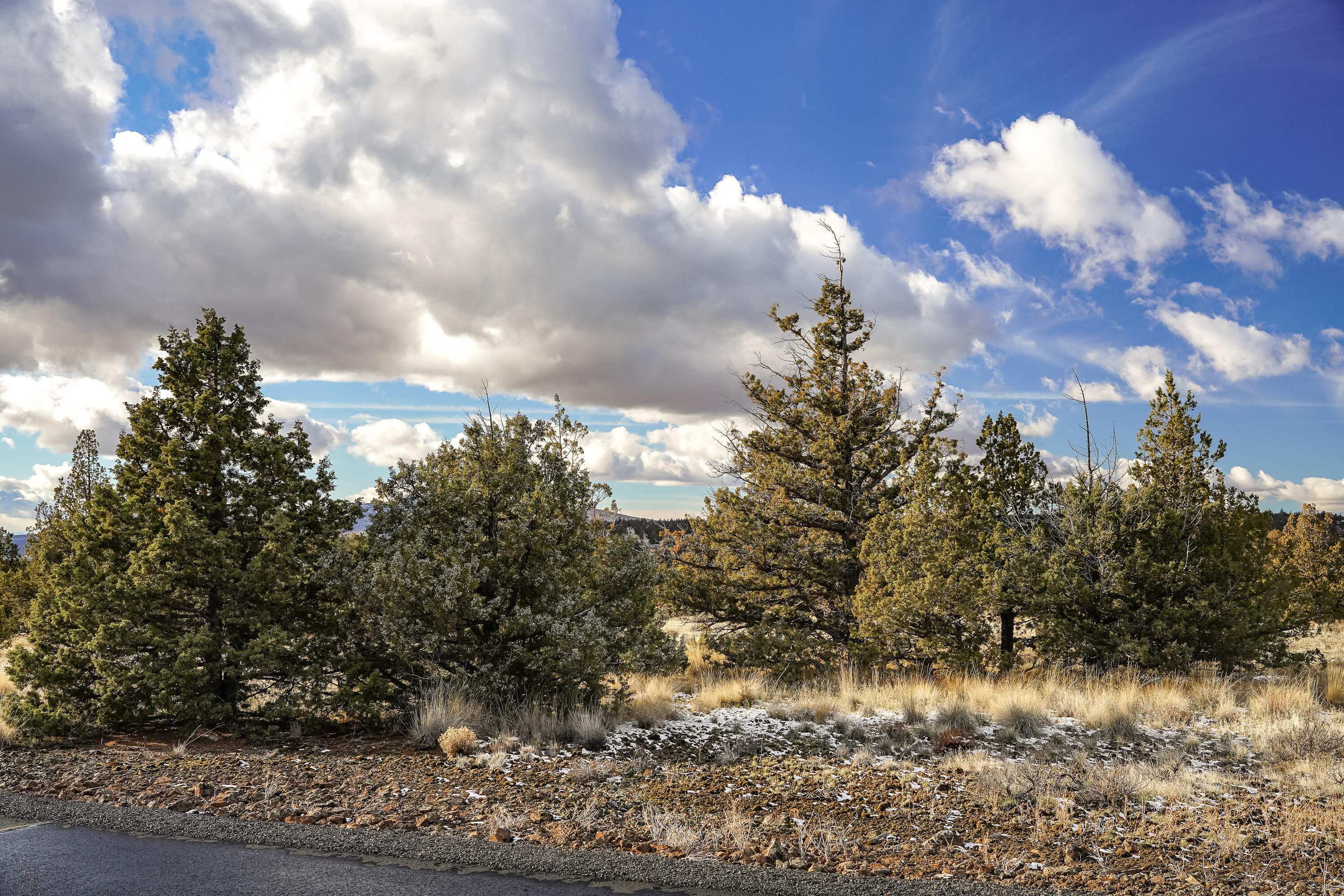 10139 SE Alamo Court