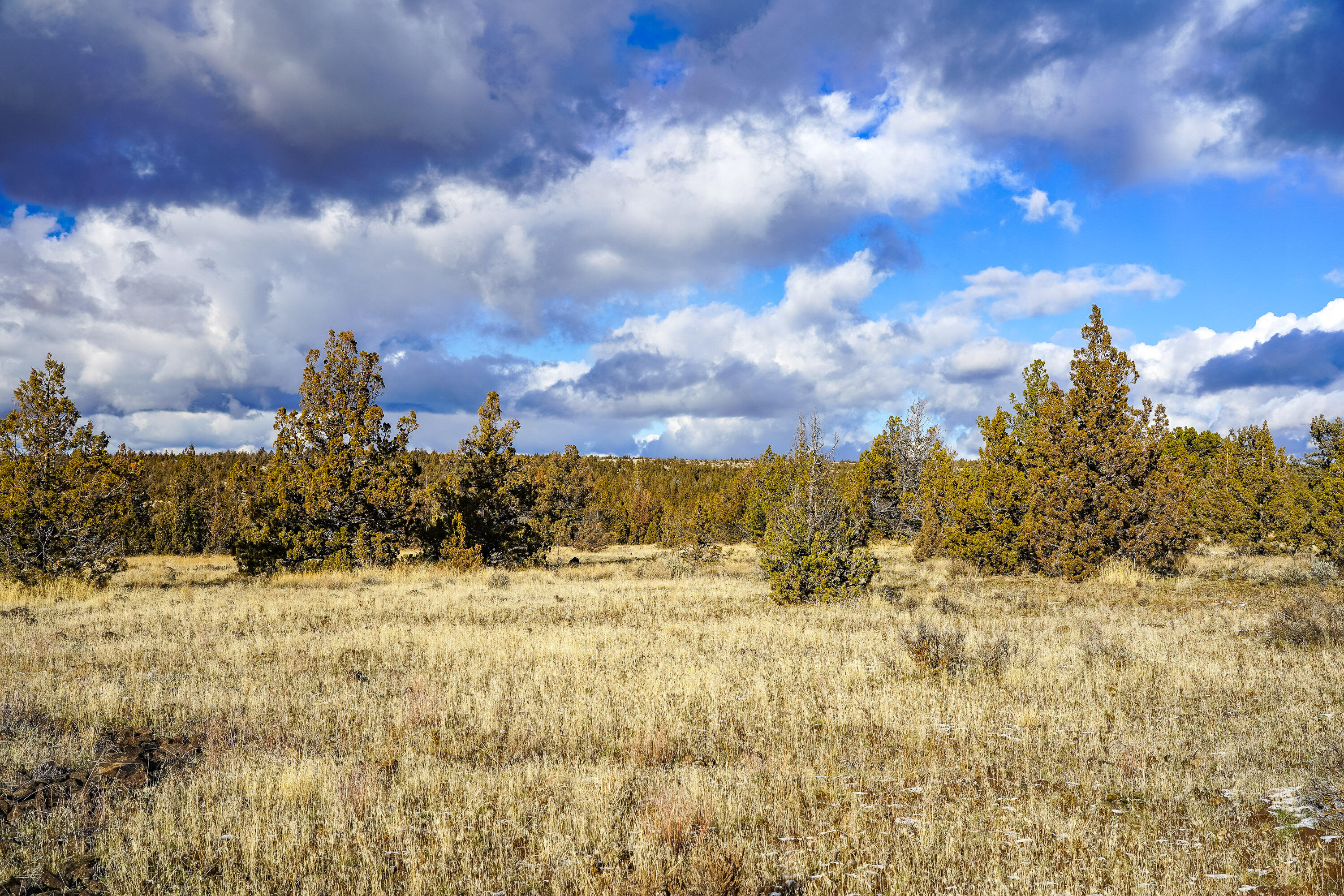 10139 SE Alamo Court