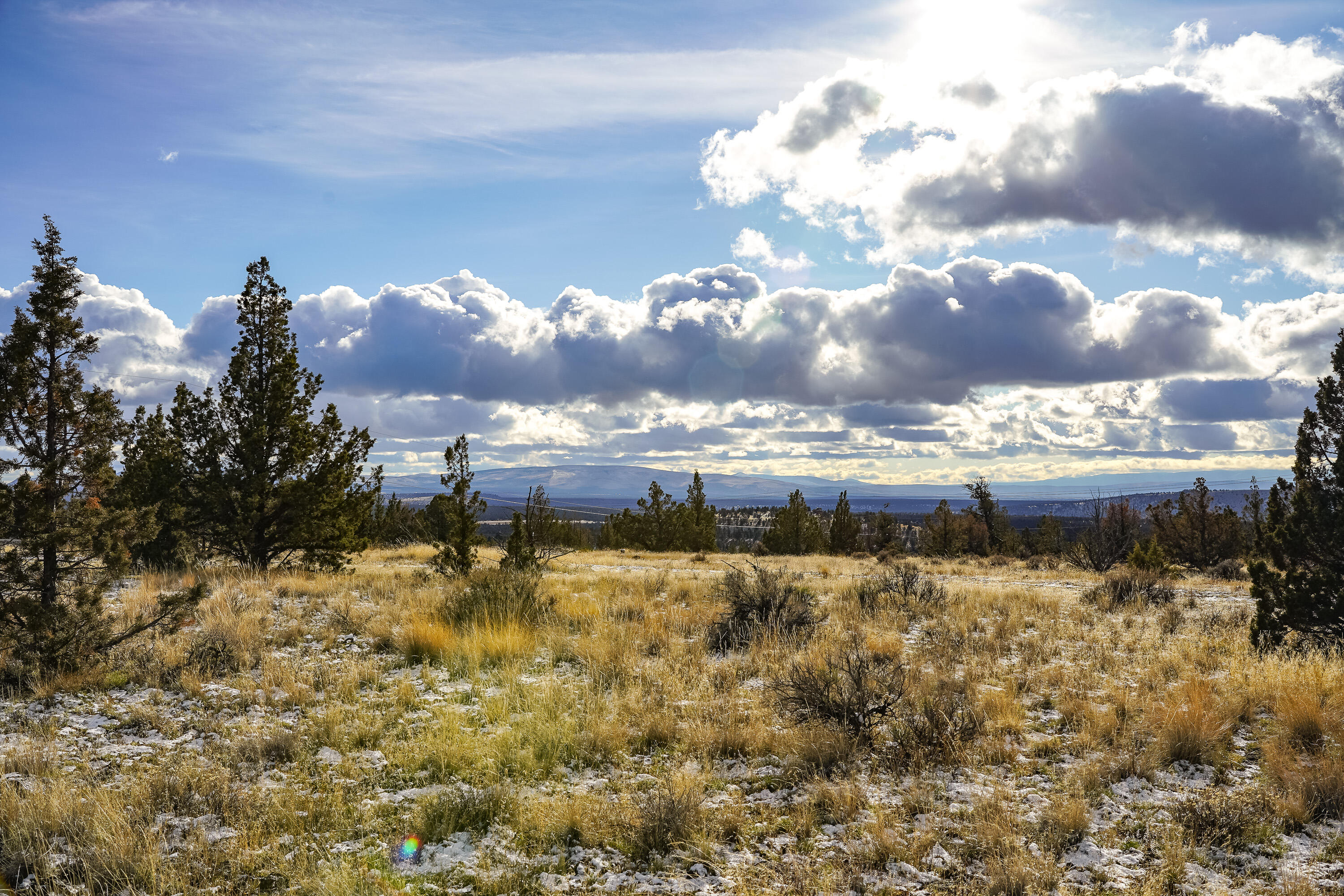 10139 SE Alamo Court