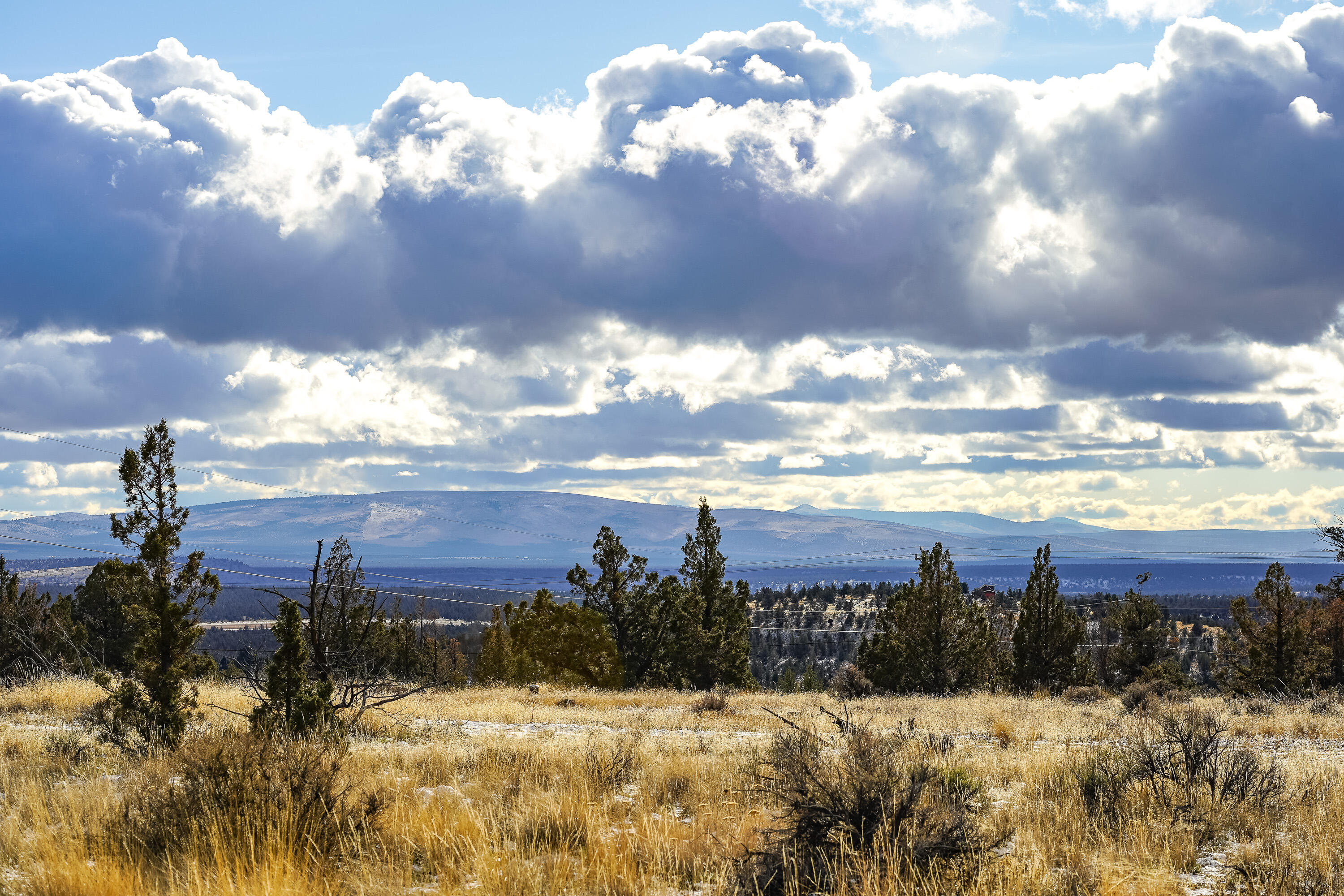 10139 SE Alamo Court