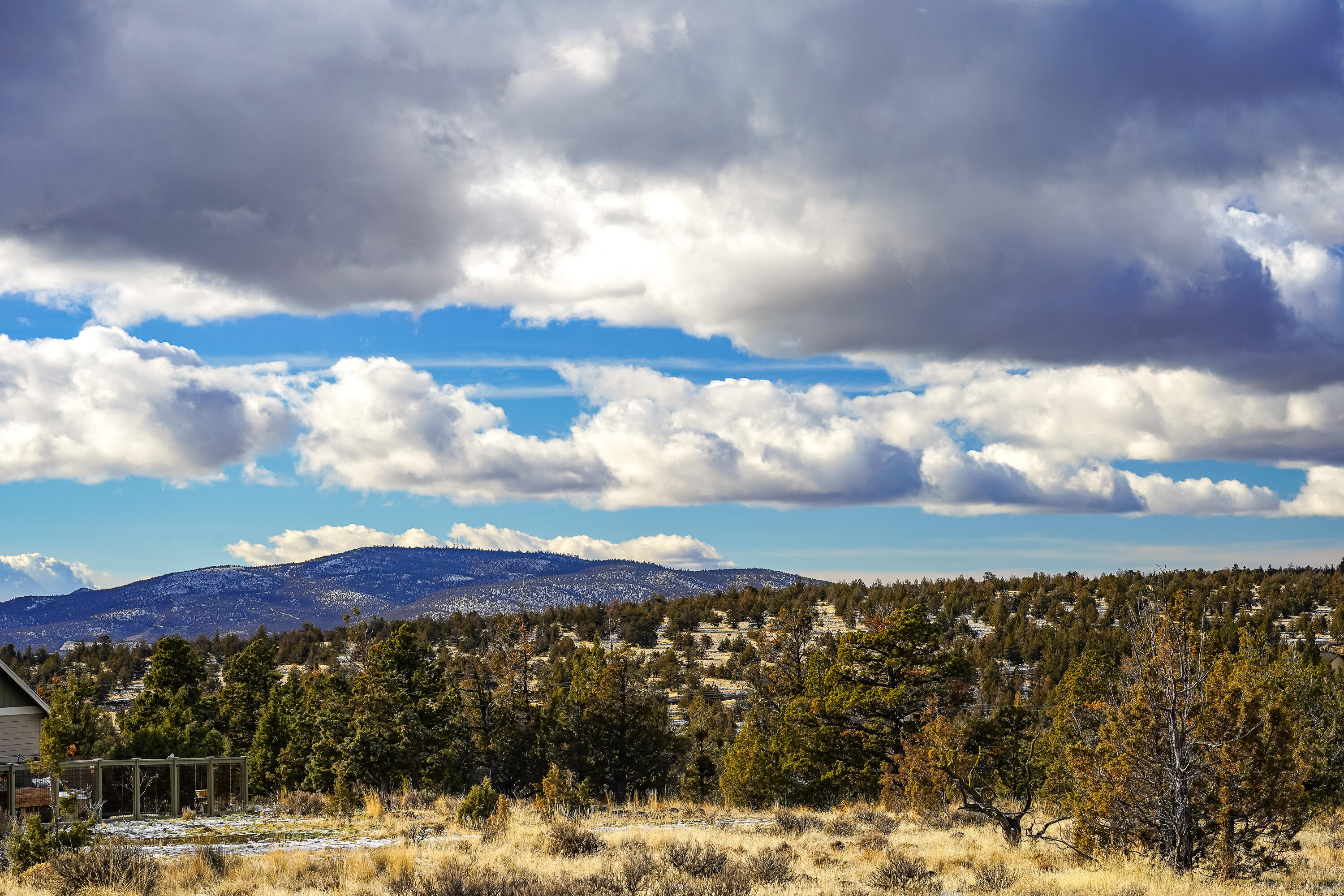 10139 SE Alamo Court