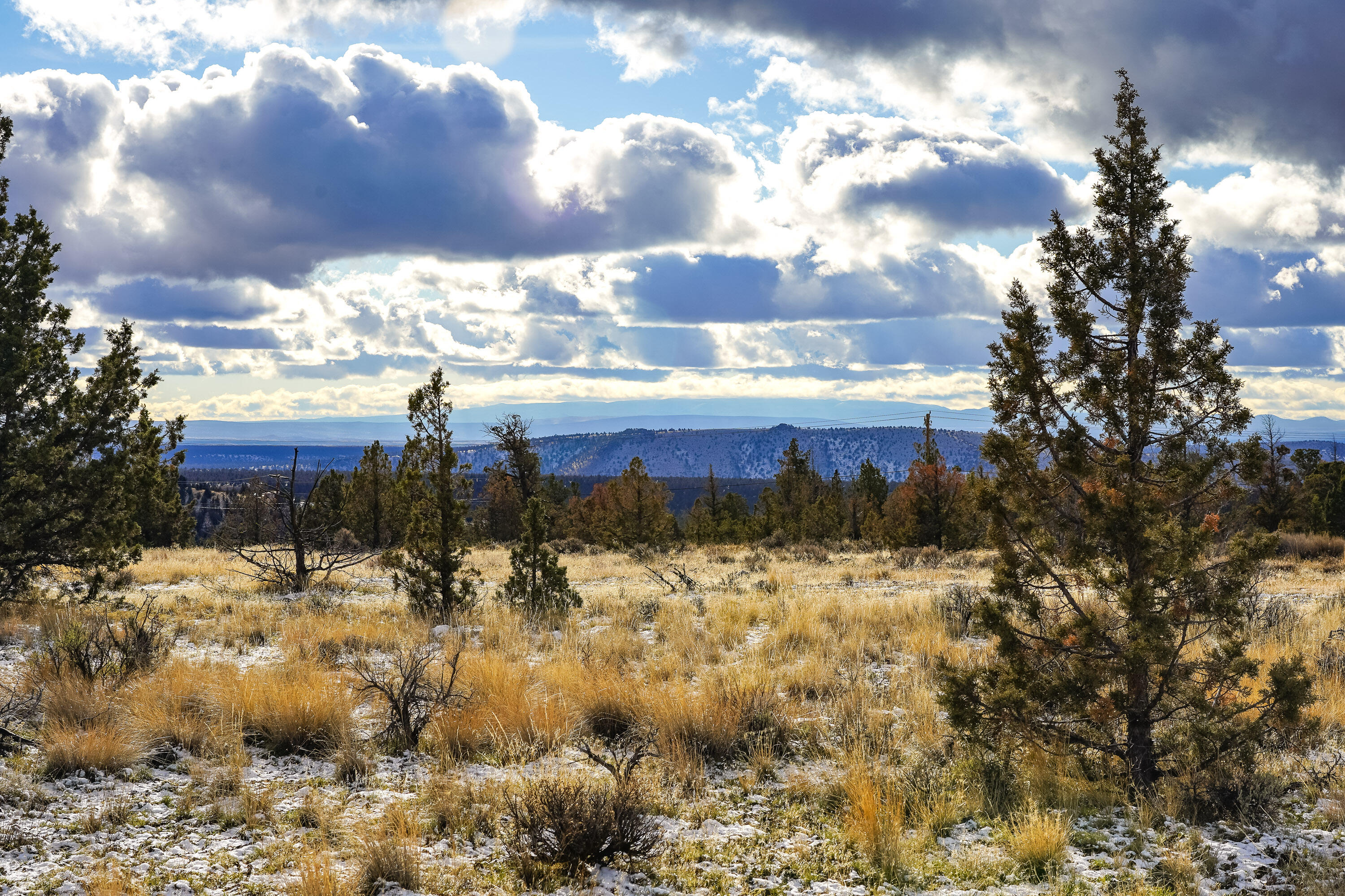 10139 SE Alamo Court