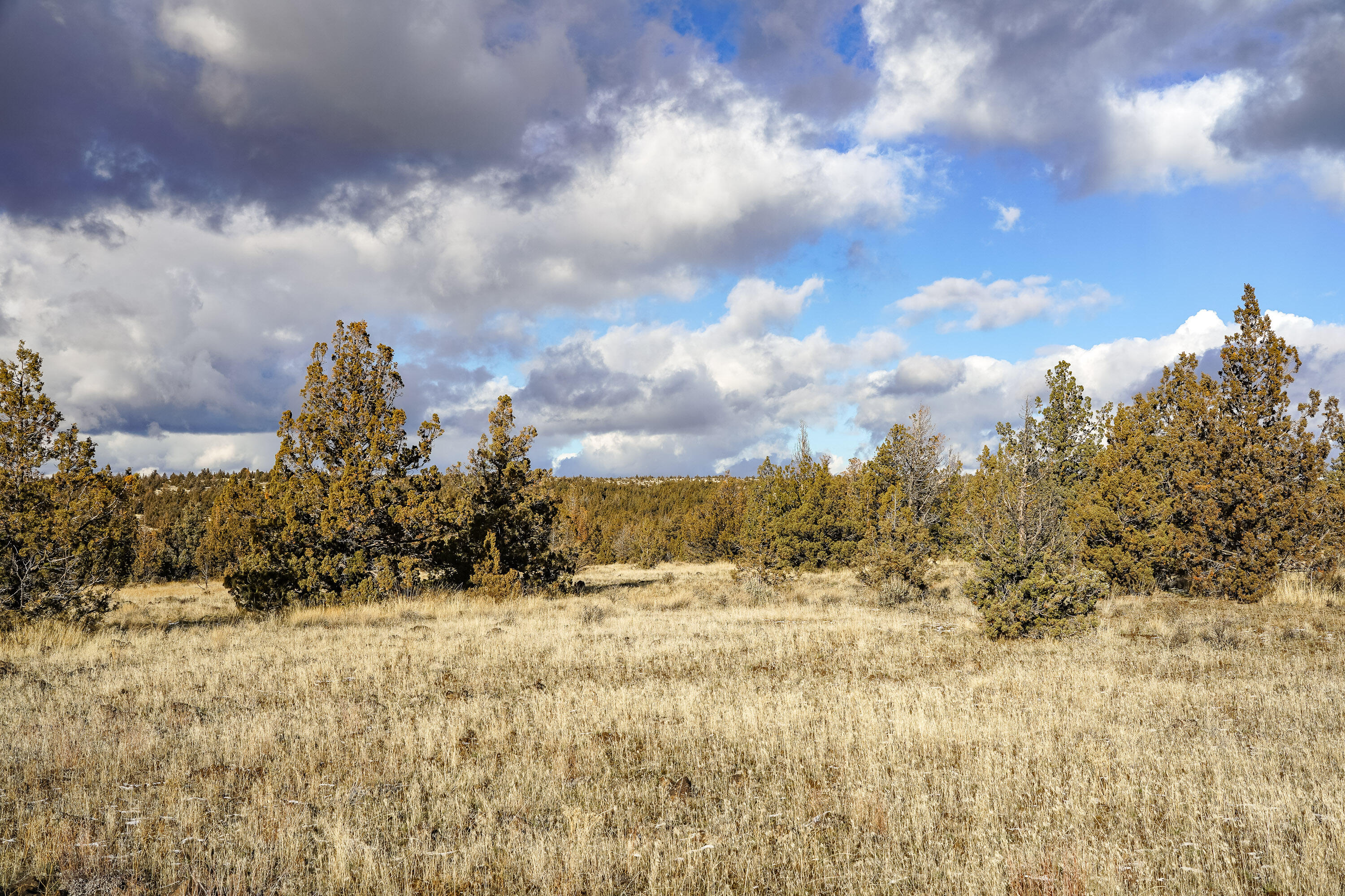 10139 SE Alamo Court