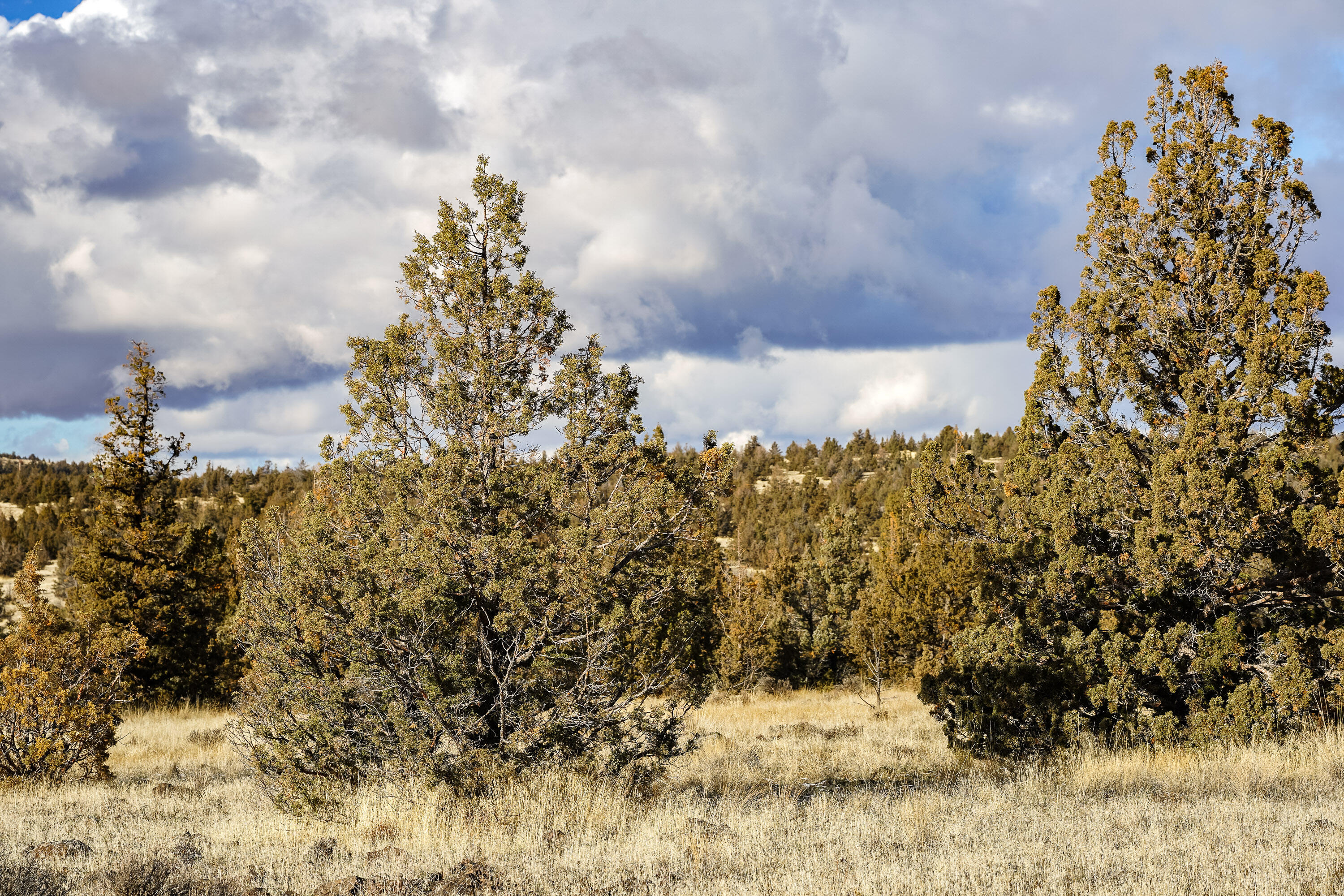 10139 SE Alamo Court