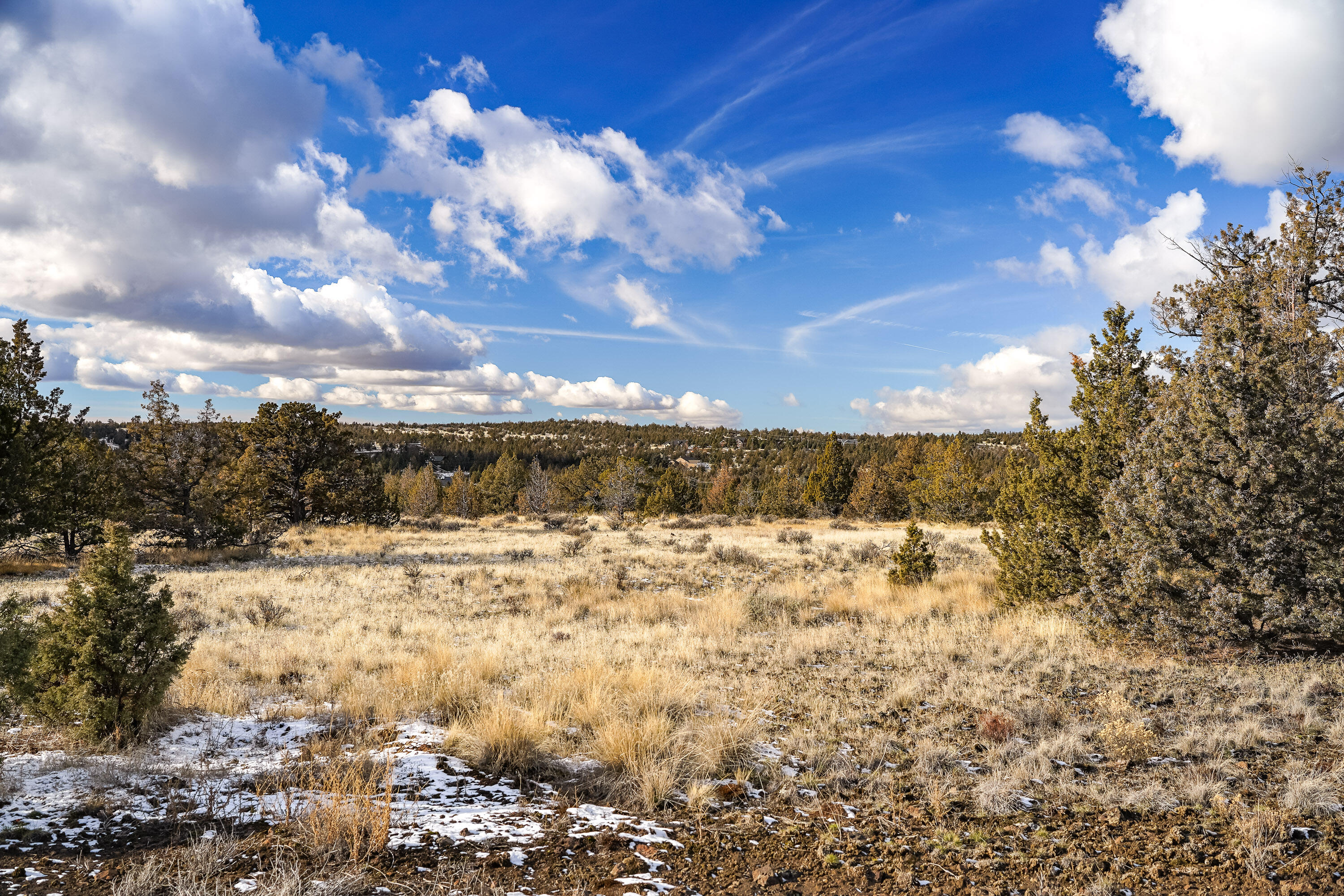 10139 SE Alamo Court