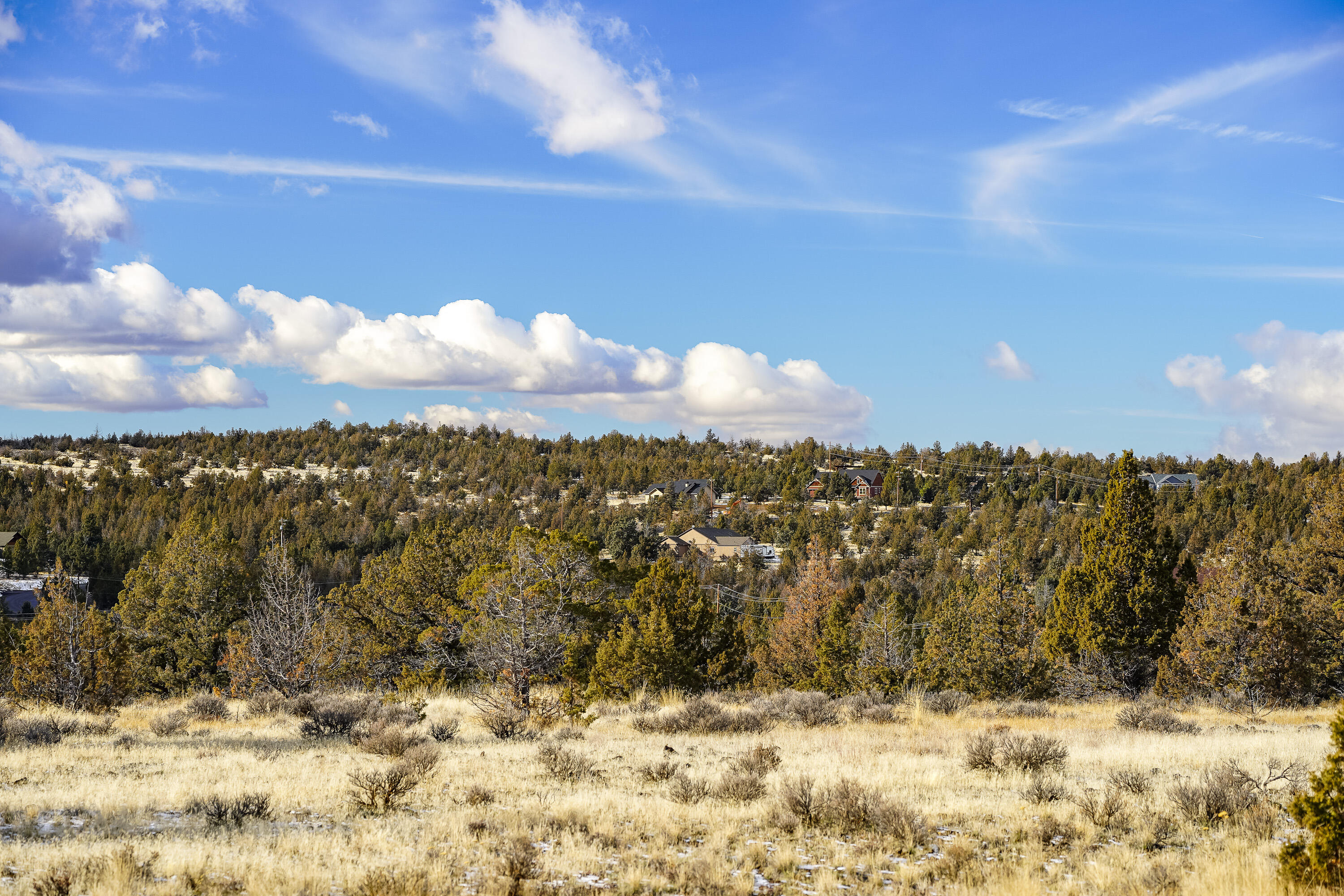 10139 SE Alamo Court