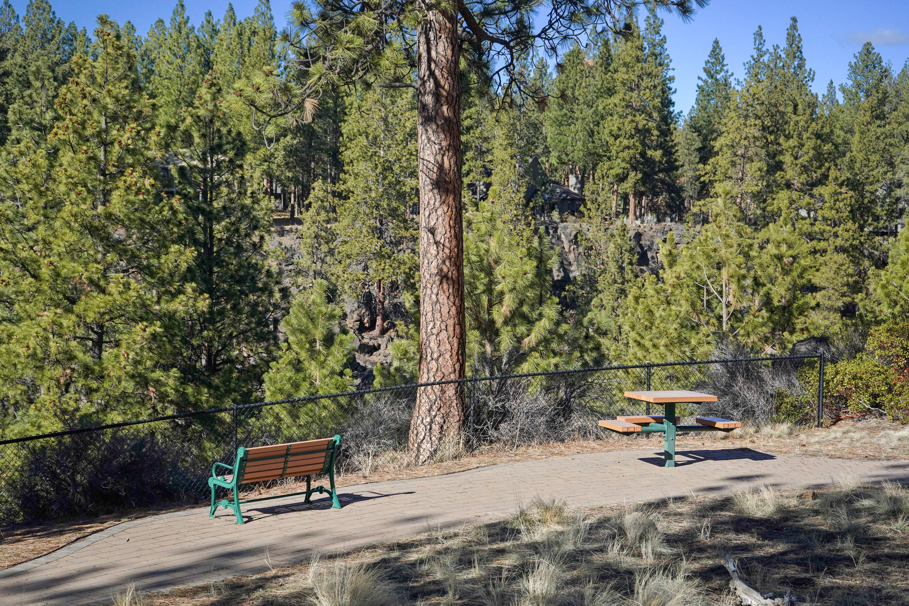 60985 Snowbrush Drive