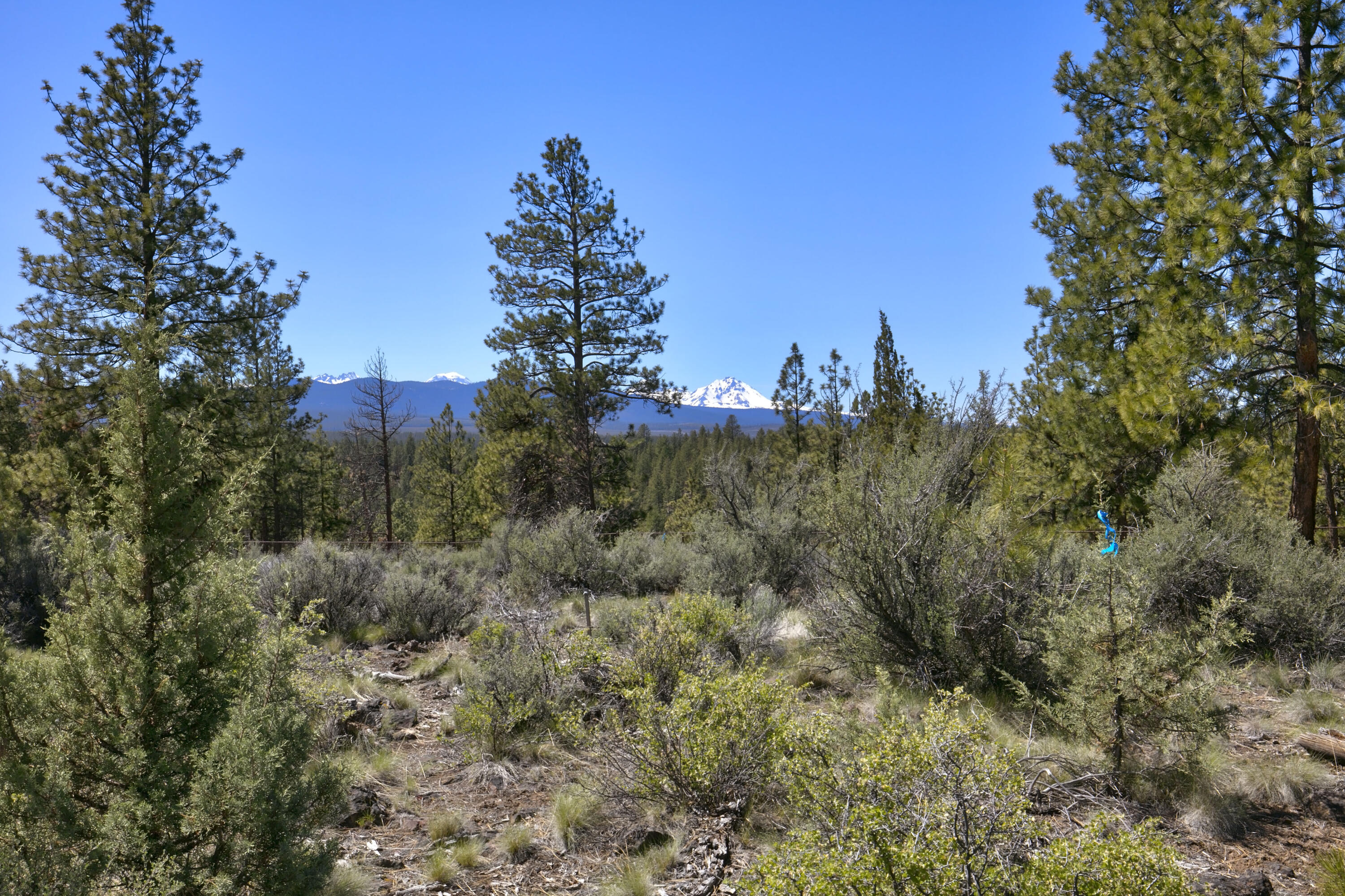 62947 Levins Lane