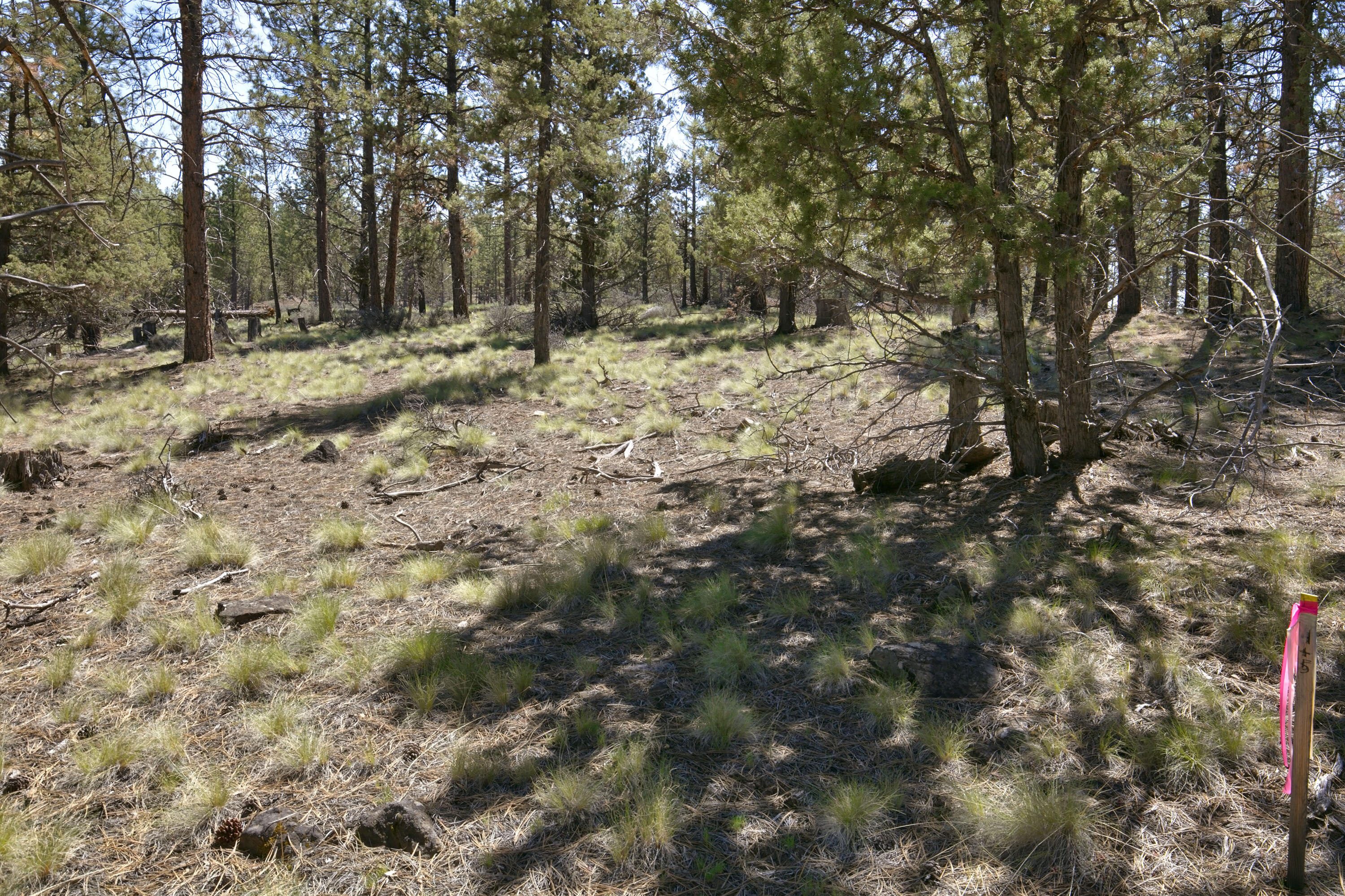 62947 Levins Lane