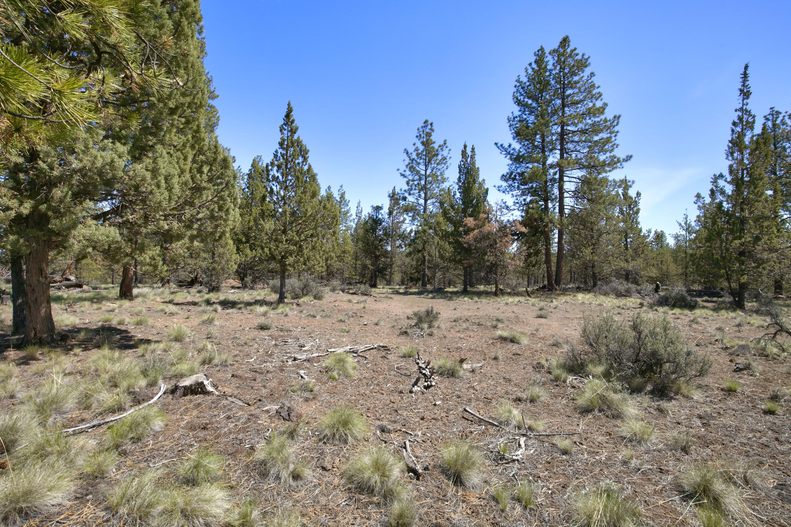 62947 Levins Lane