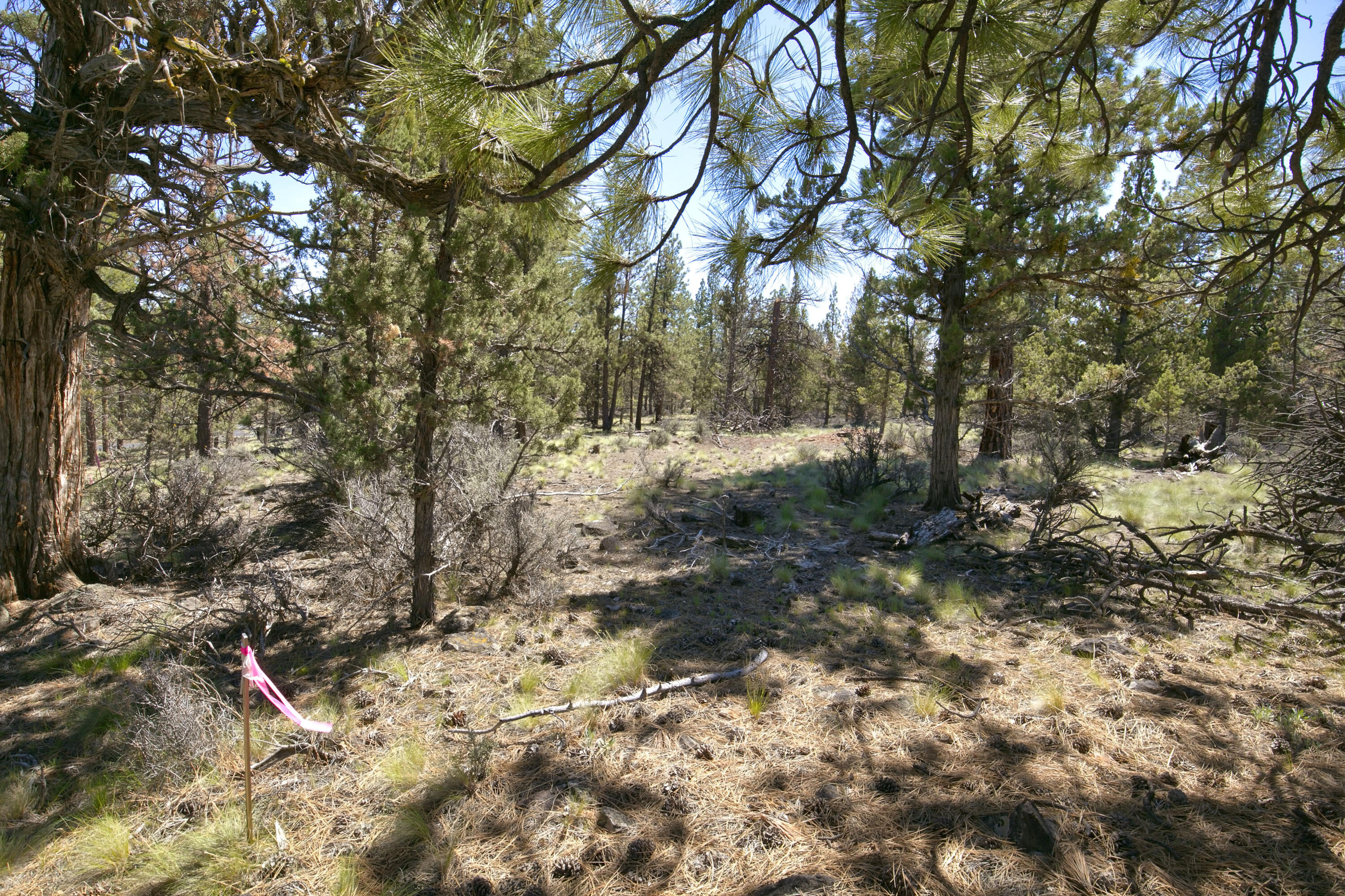 62947 Levins Lane