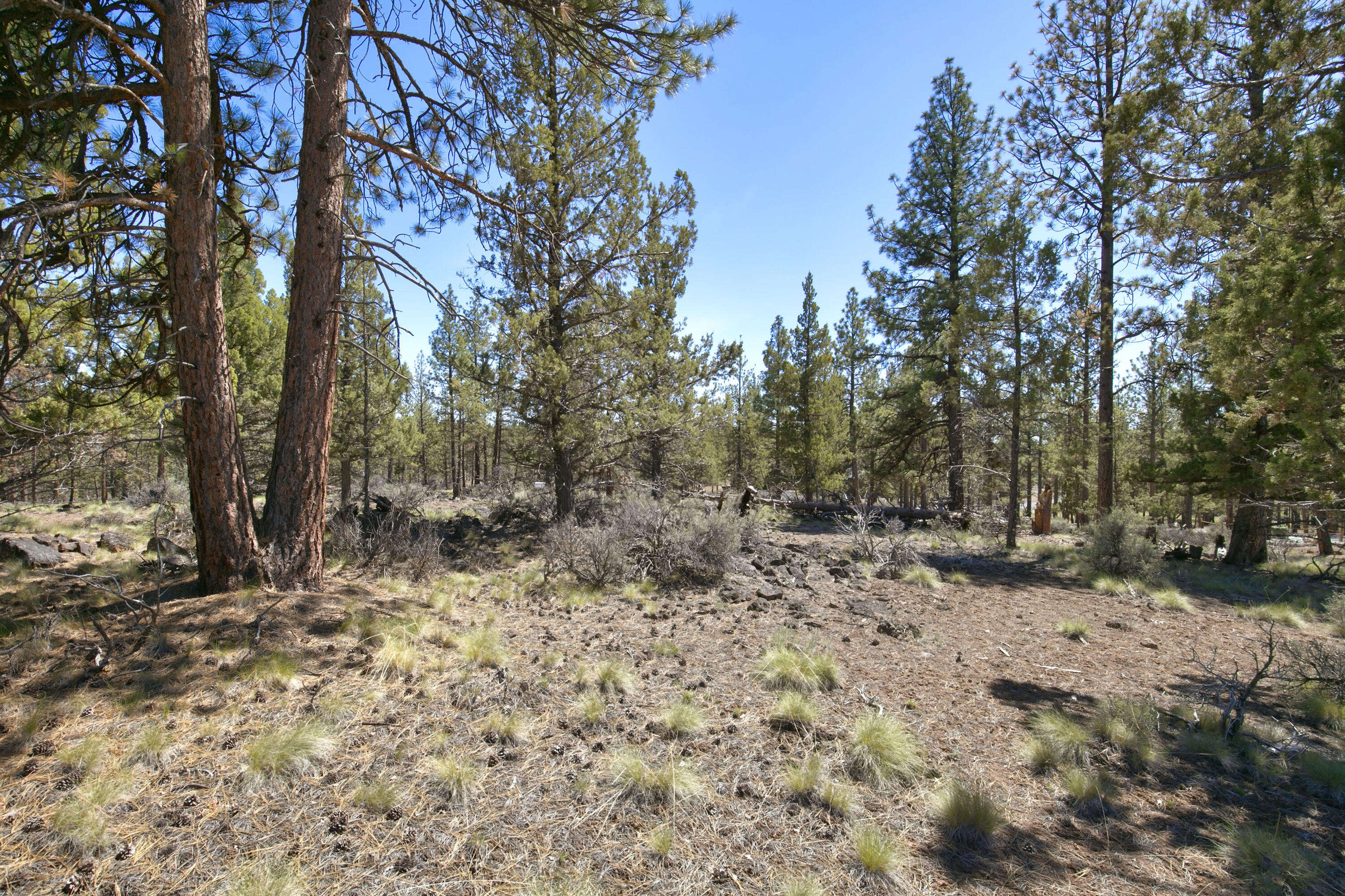62947 Levins Lane