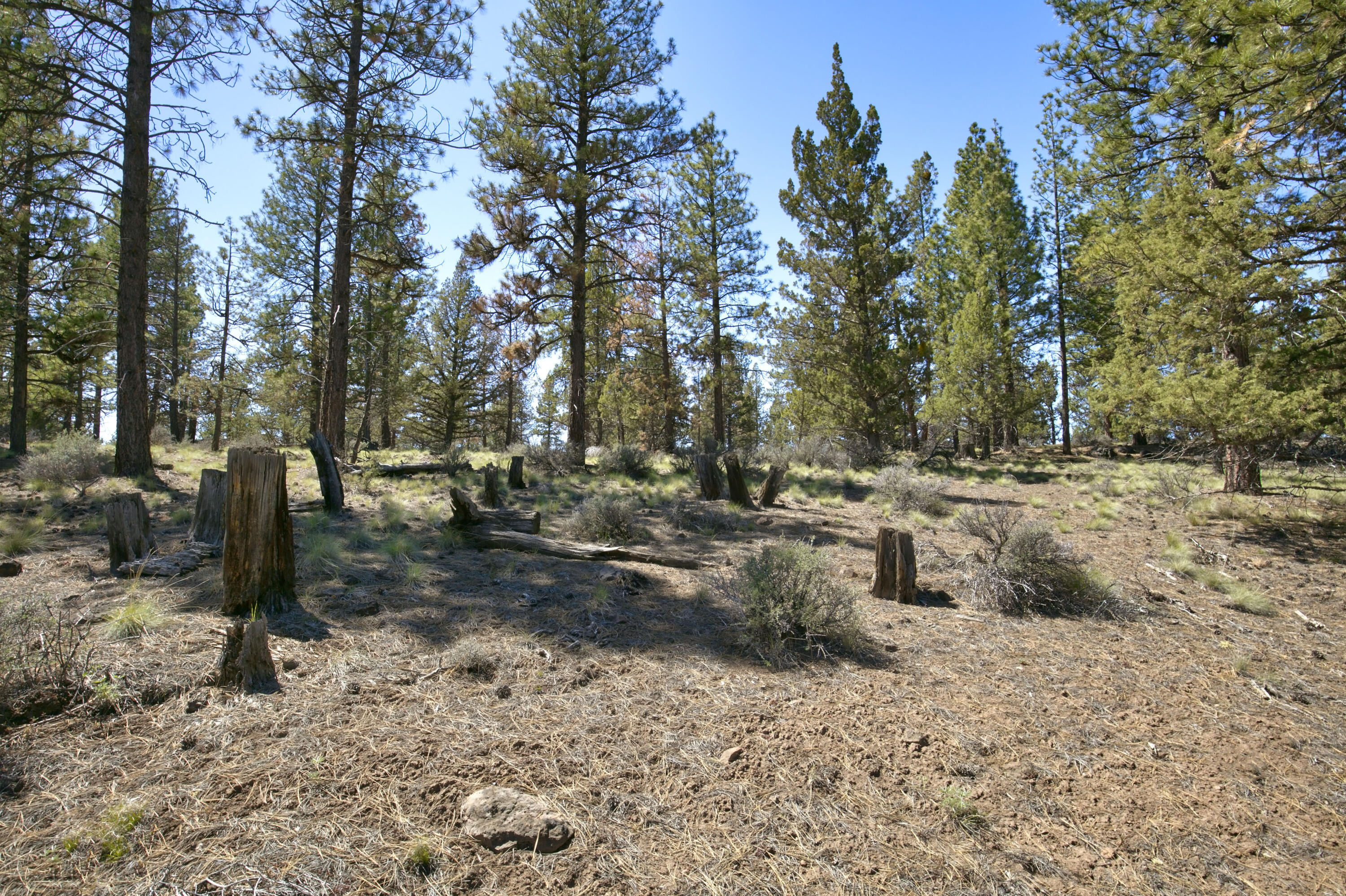 62947 Levins Lane