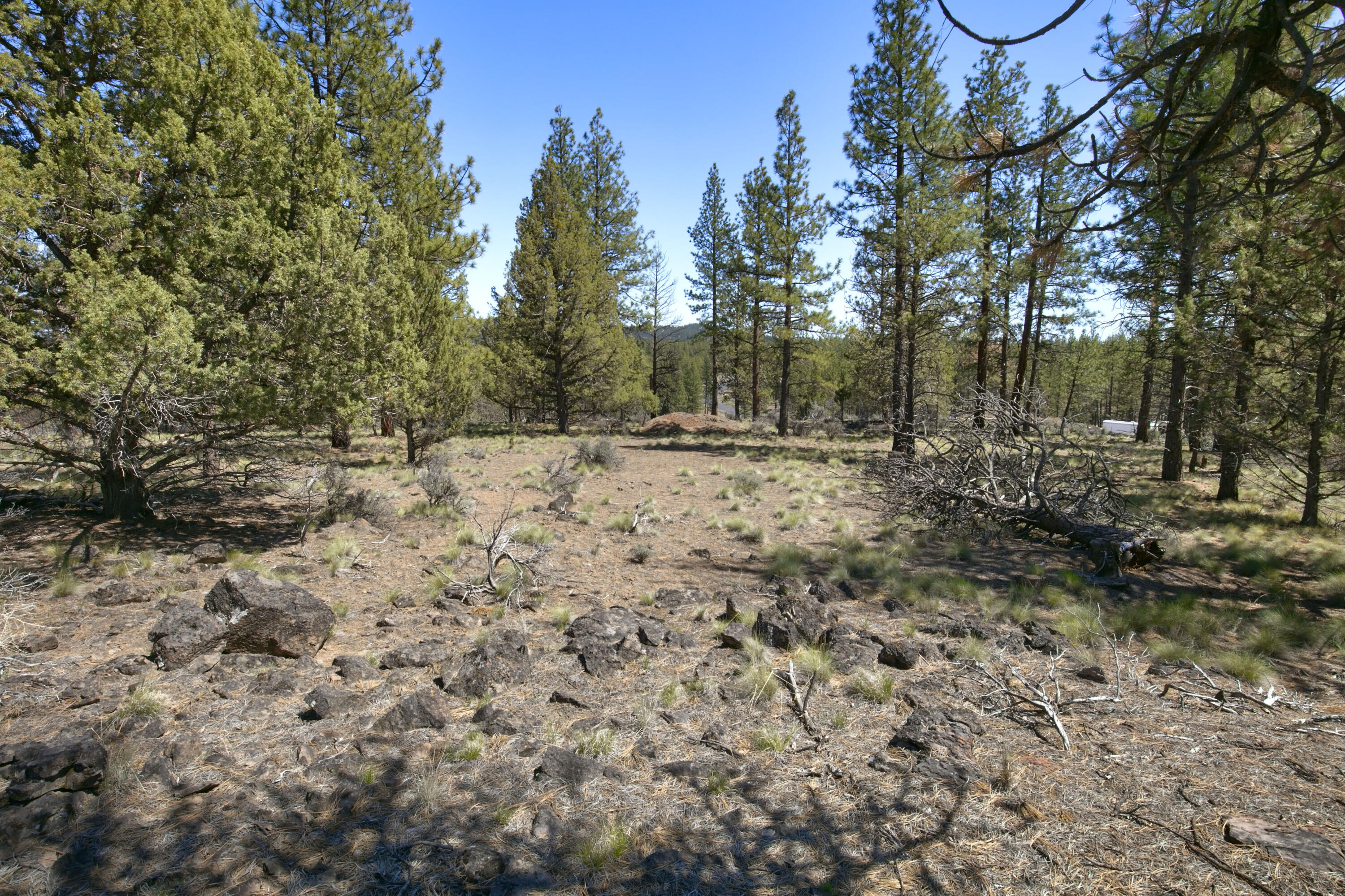 62947 Levins Lane