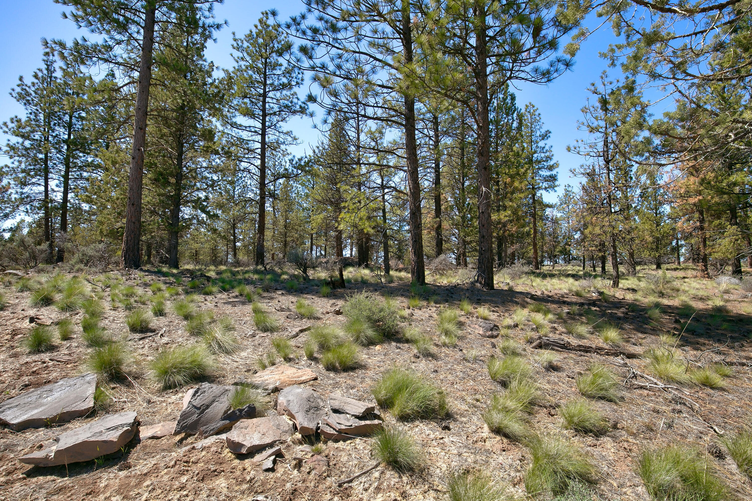 62947 Levins Lane