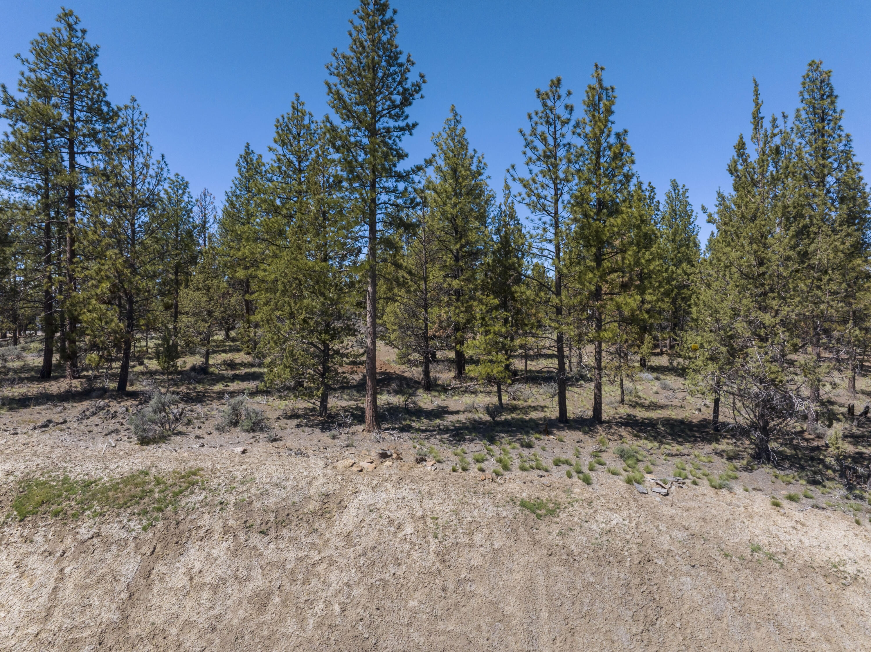 62947 Levins Lane